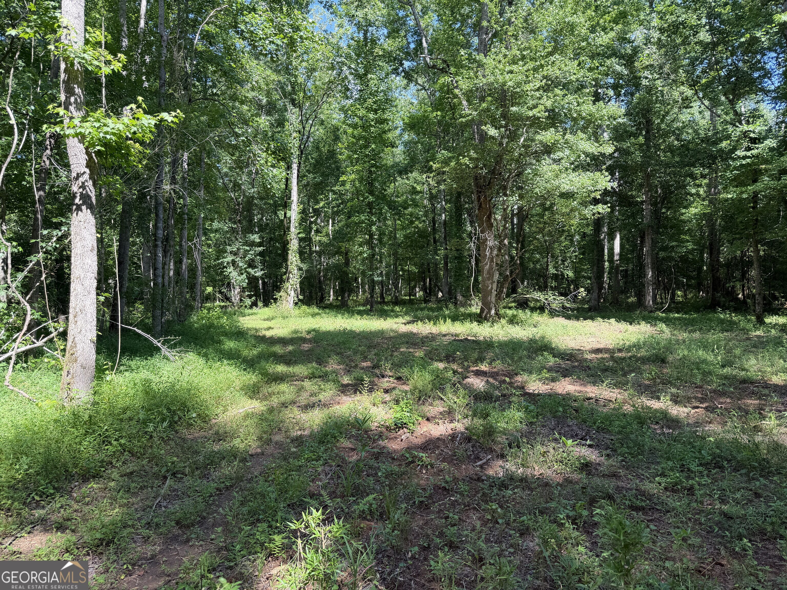 +/- 190 Ac Bevis Road Property Photo 16