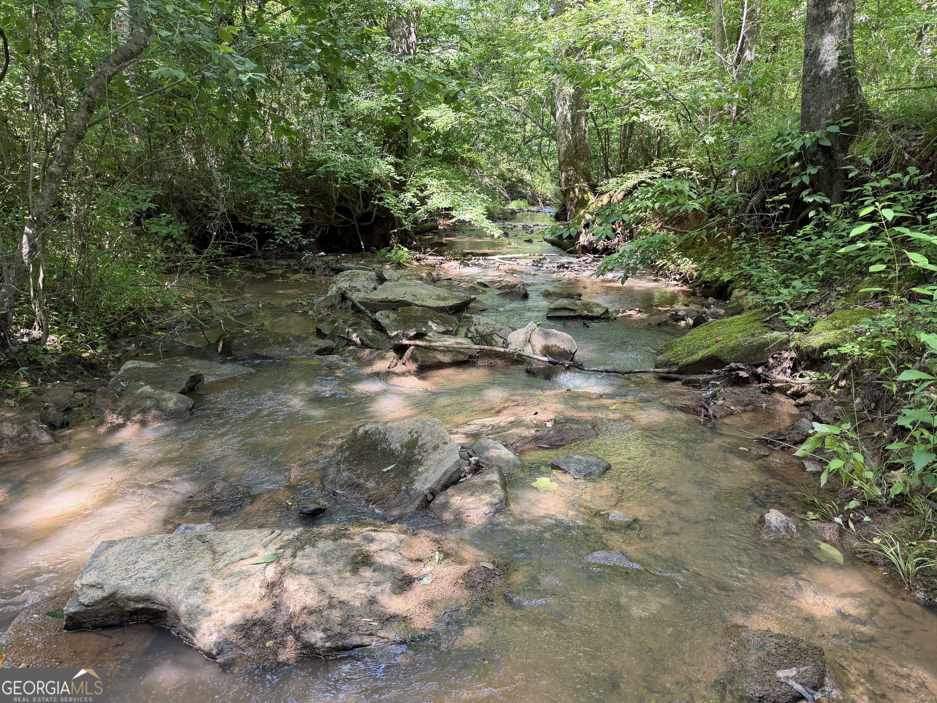 +/- 190 Ac Bevis Road Property Photo 17