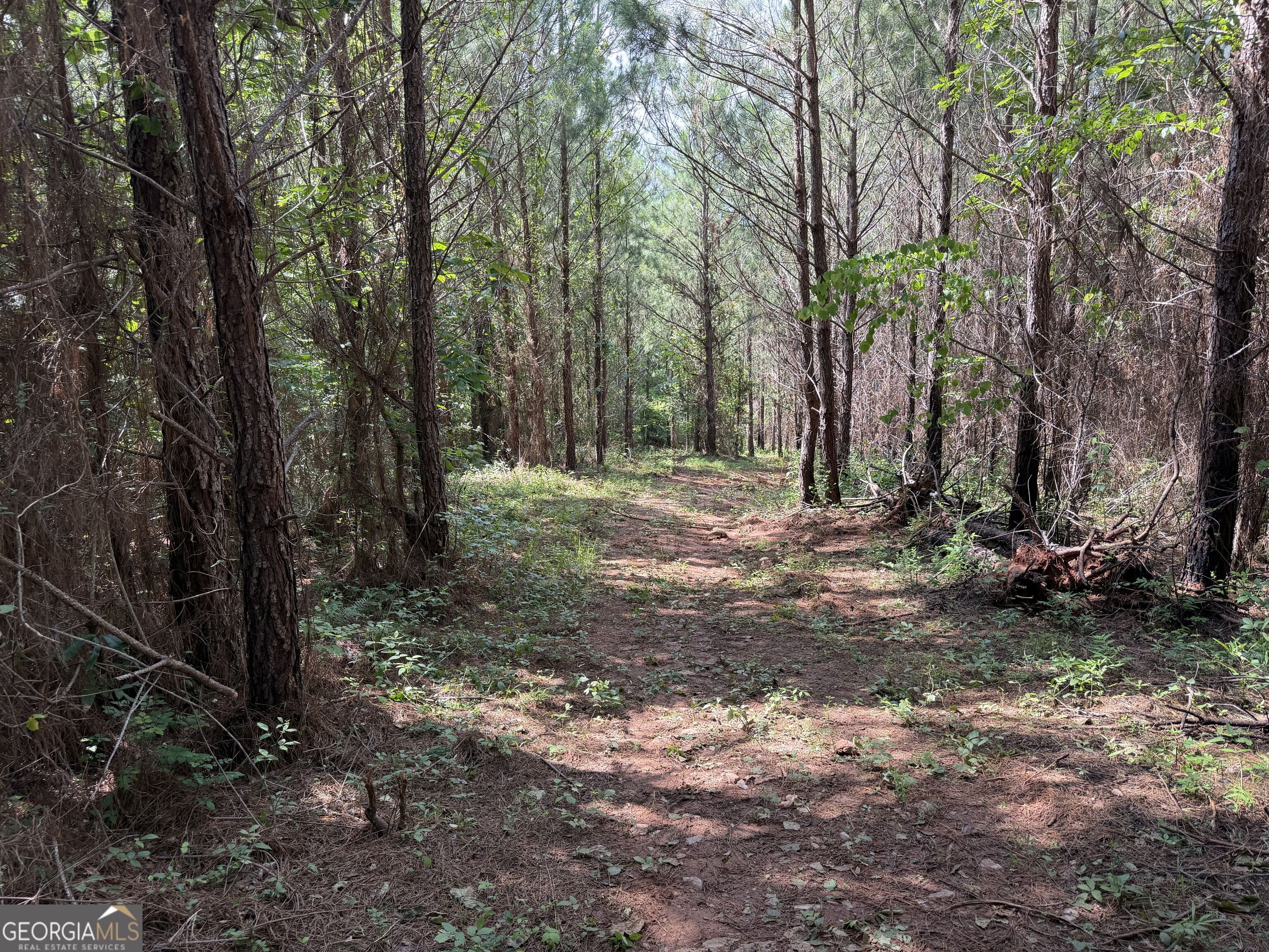 +/- 190 Ac Bevis Road Property Photo 20