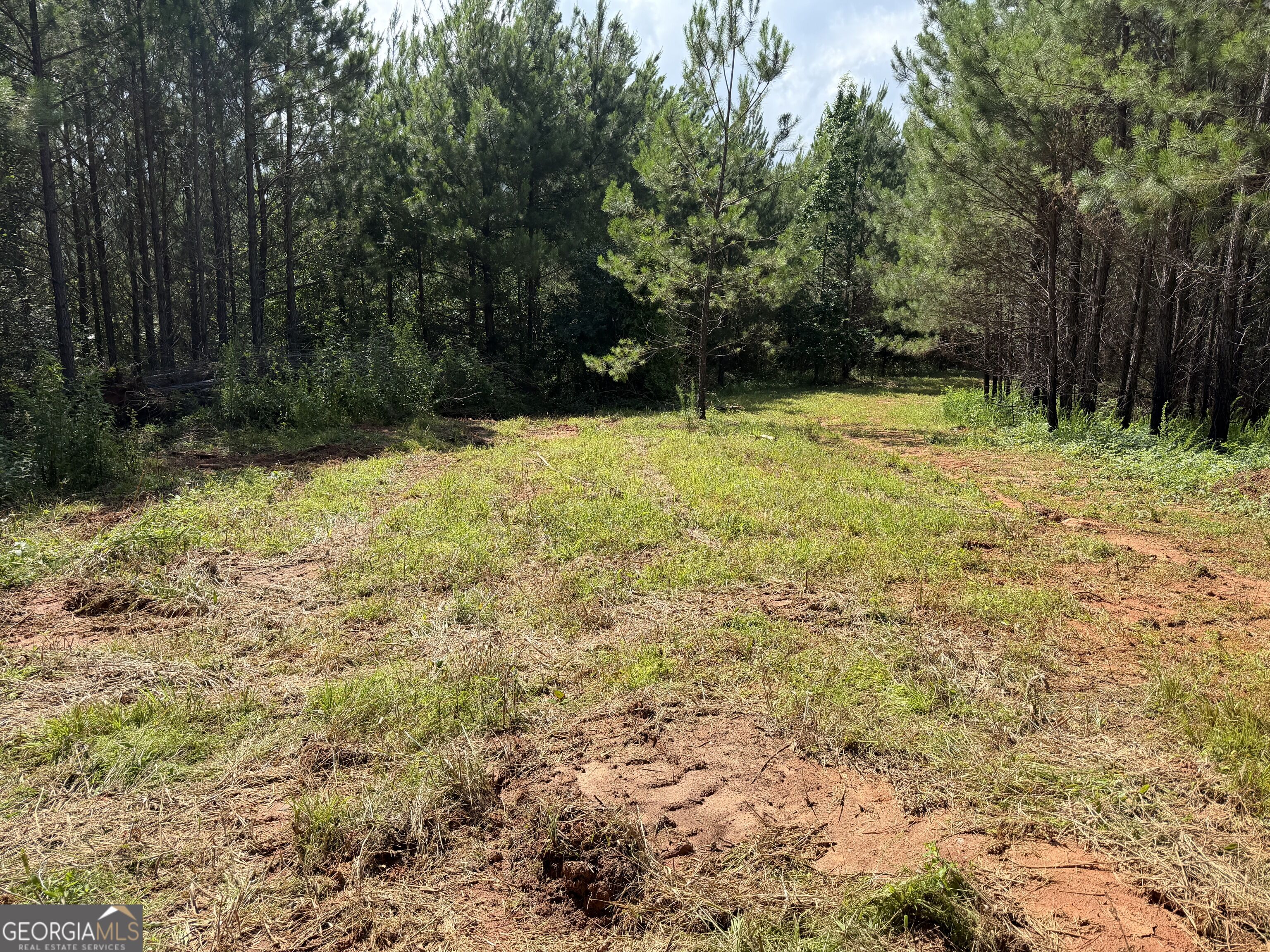 +/- 190 Ac Bevis Road Property Photo 21