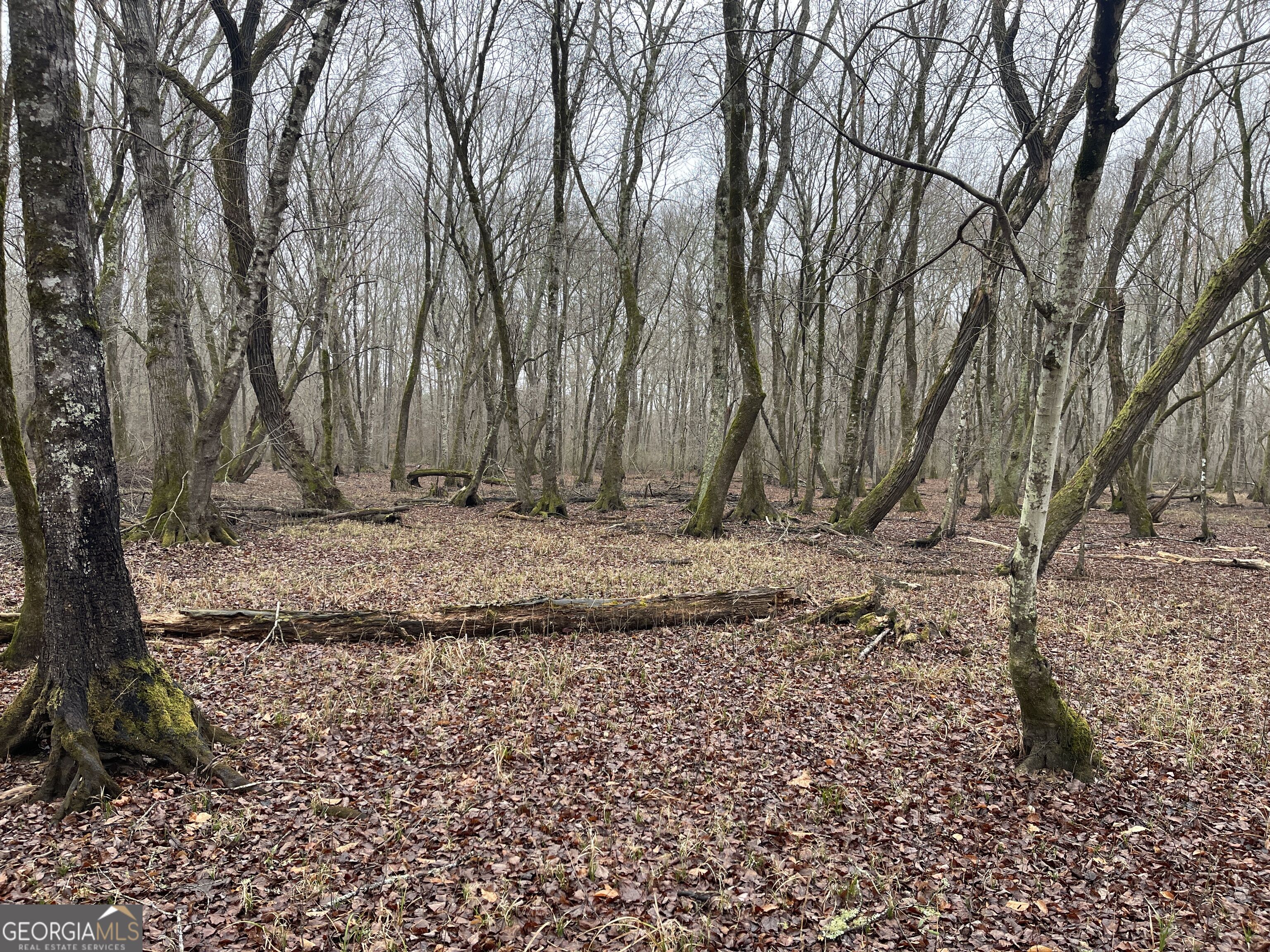 +/- 190 Ac Bevis Road Property Photo 23