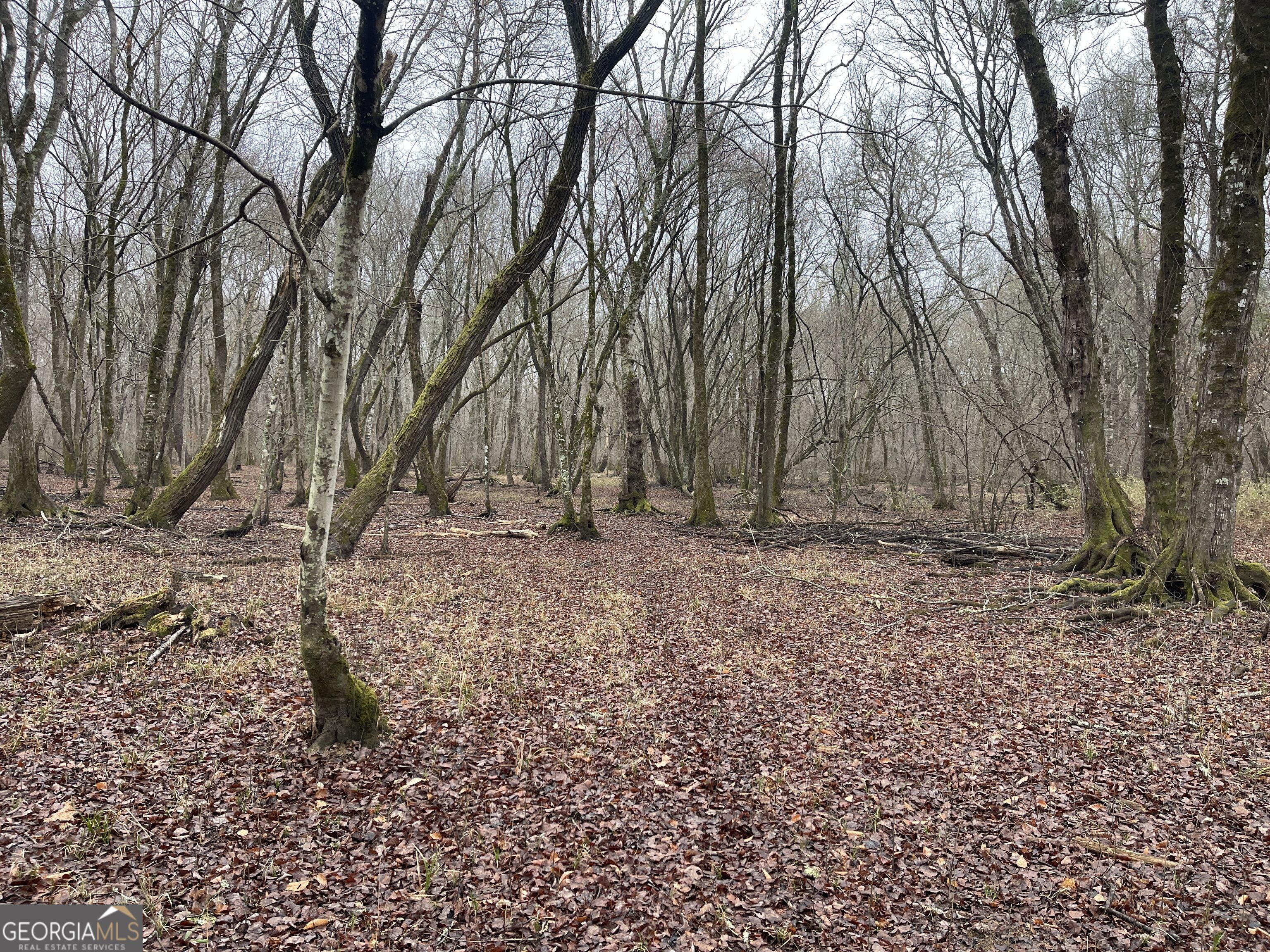 +/- 190 Ac Bevis Road Property Photo 24