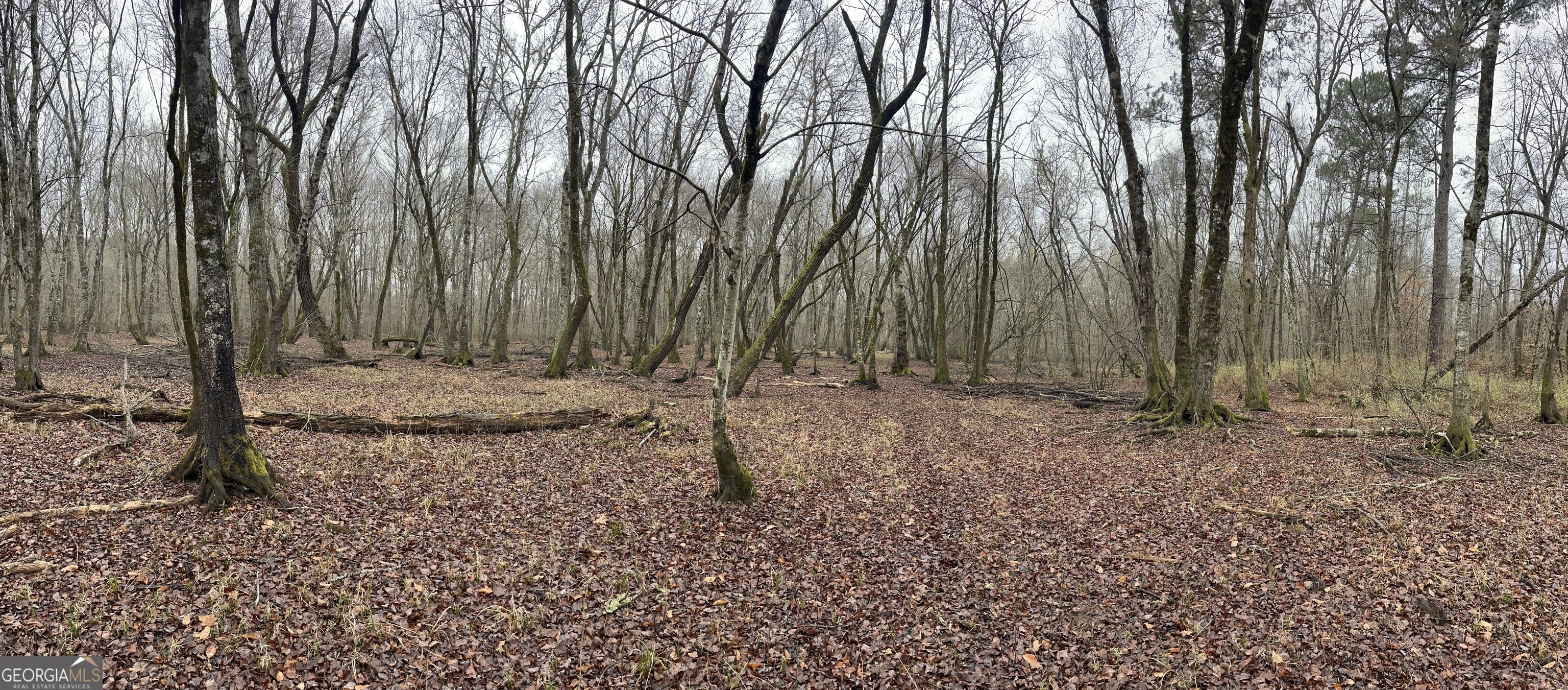 +/- 190 Ac Bevis Road Property Photo 25