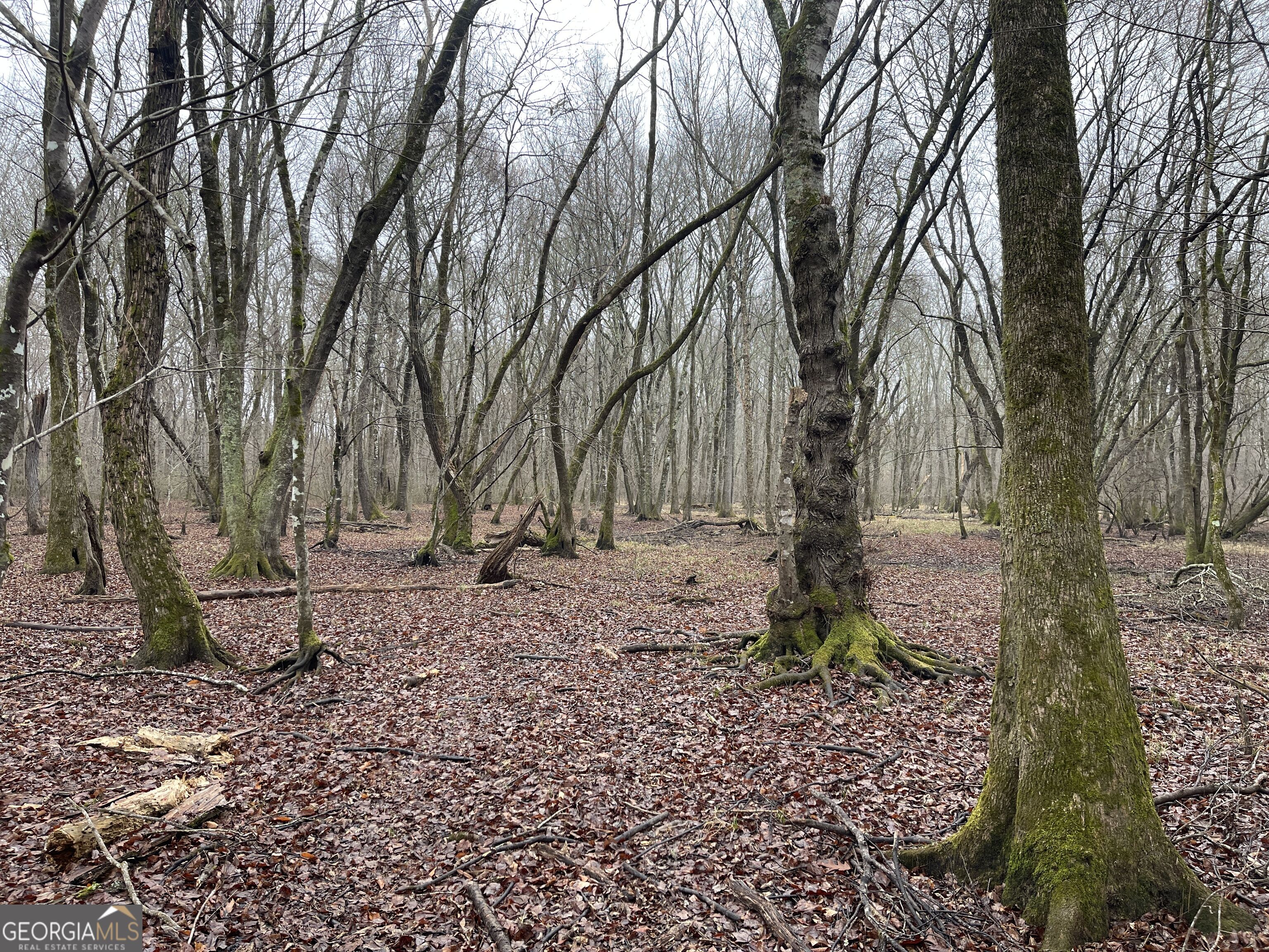 +/- 190 Ac Bevis Road Property Photo 26