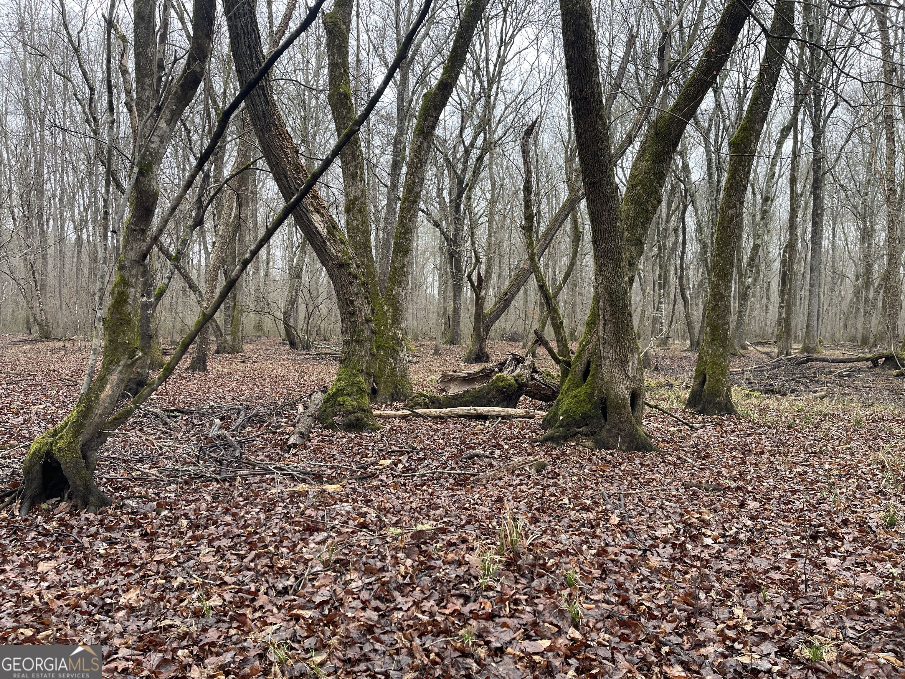 +/- 190 Ac Bevis Road Property Photo 27