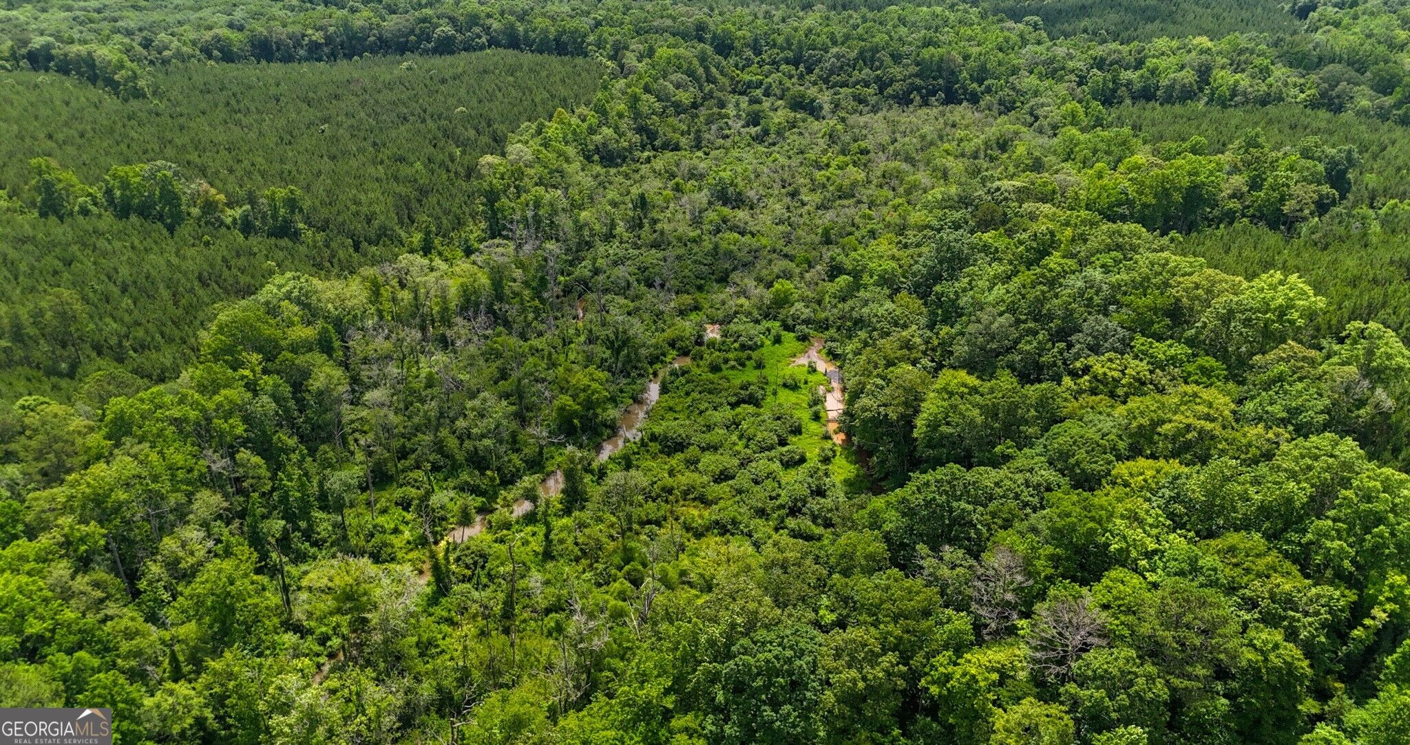 +/- 190 Ac Bevis Road Property Photo 31