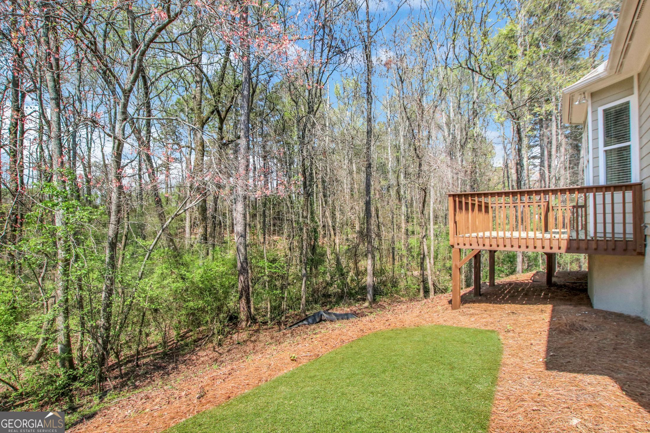 3375 Olivia Court Property Photo 48
