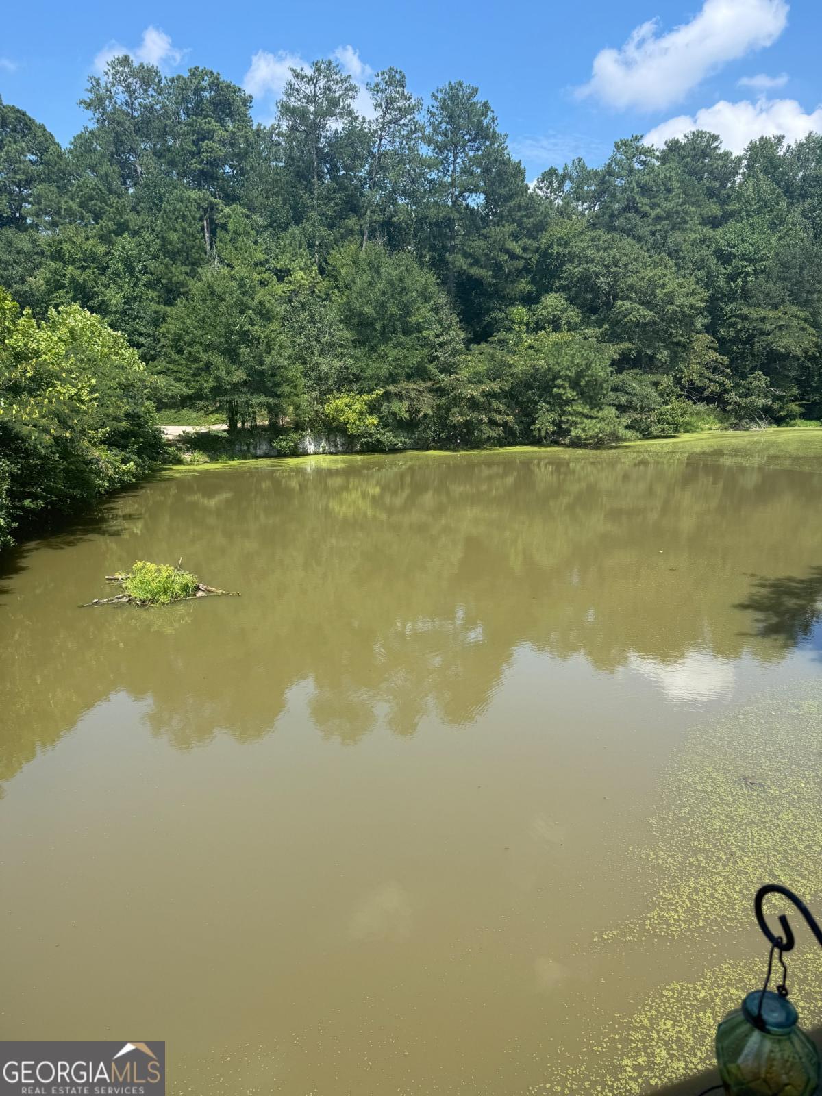 8945 Carroll Manor Drive Property Photo 39