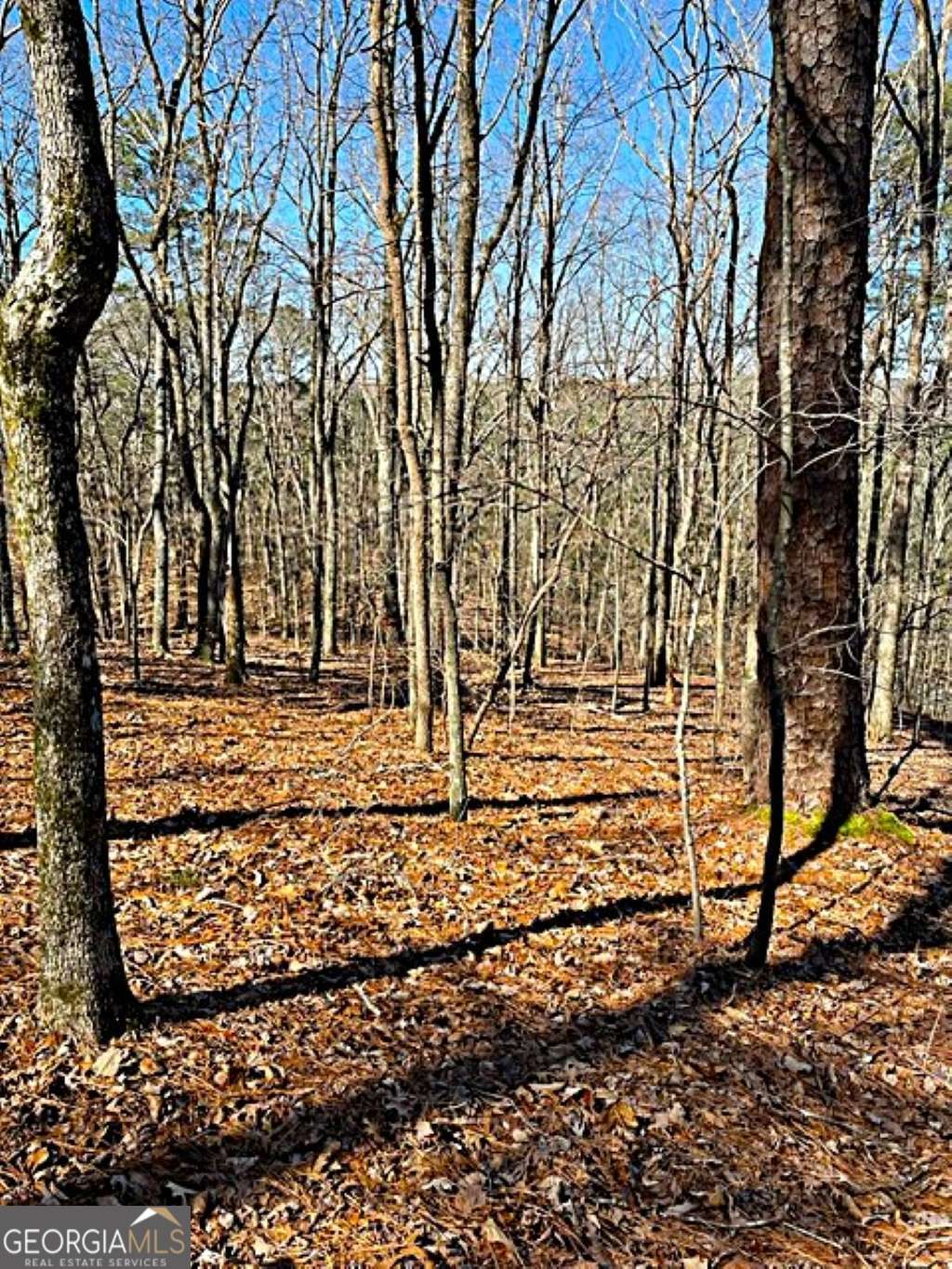 0 Overlook Drive Property Photo 4