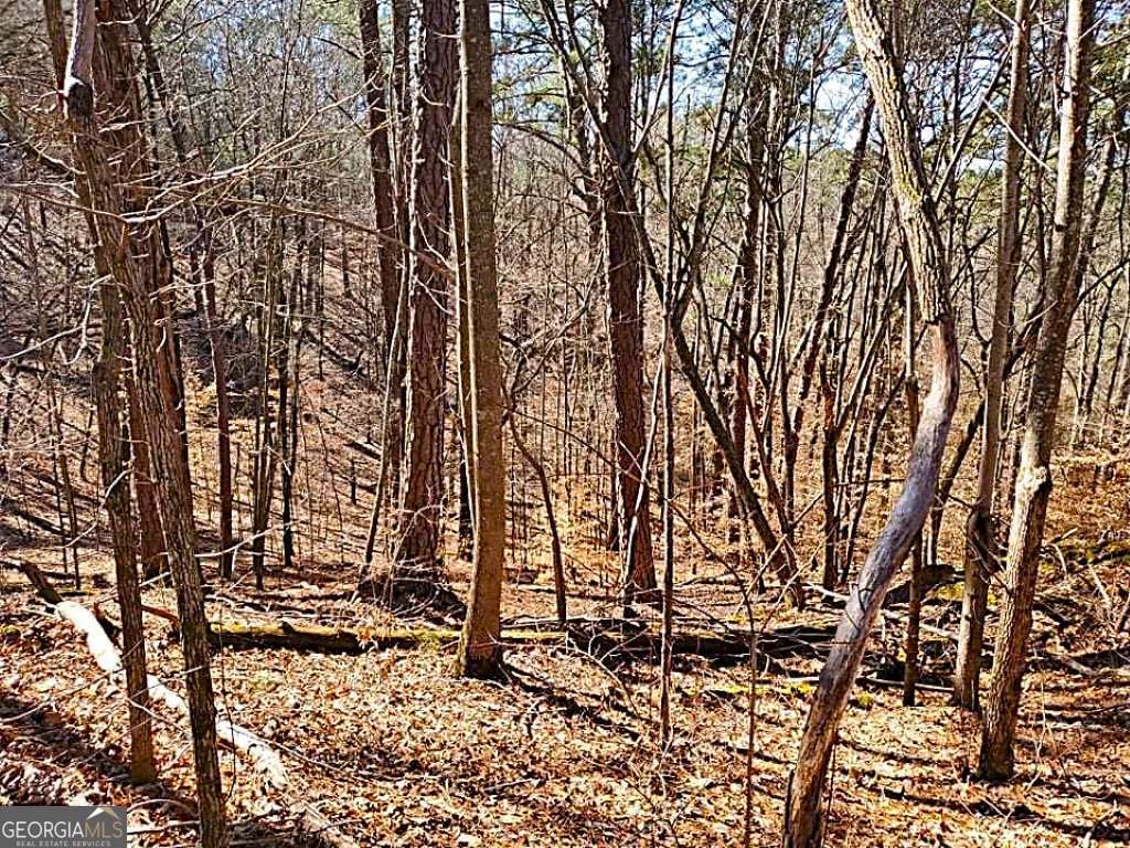 0 Overlook Drive Property Photo 7