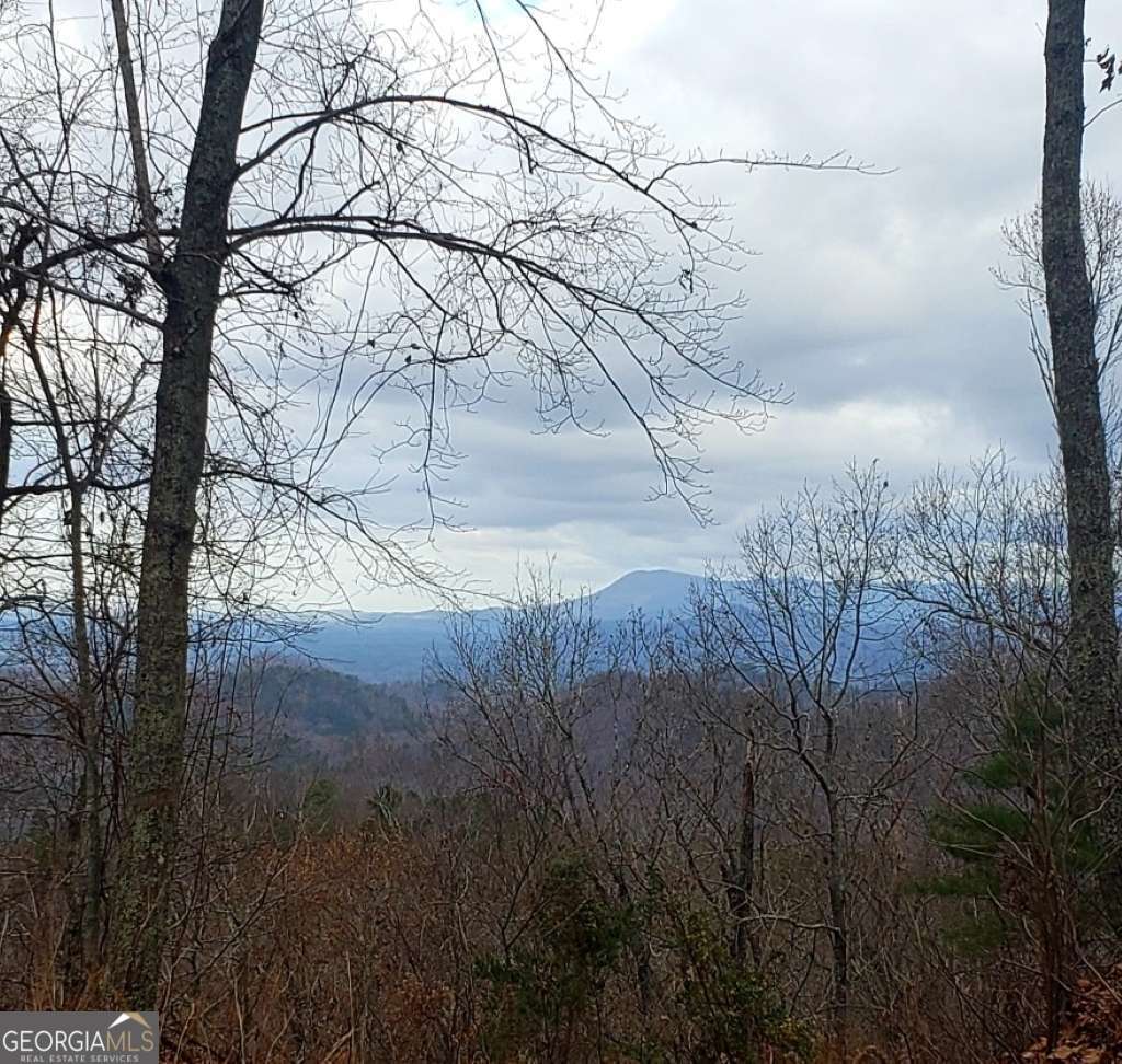 0 Overlook Drive Property Photo 8