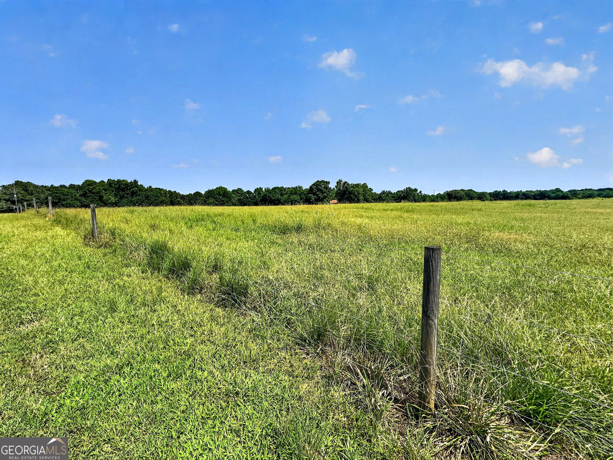 2614 Locust Grove Road Property Photo 6
