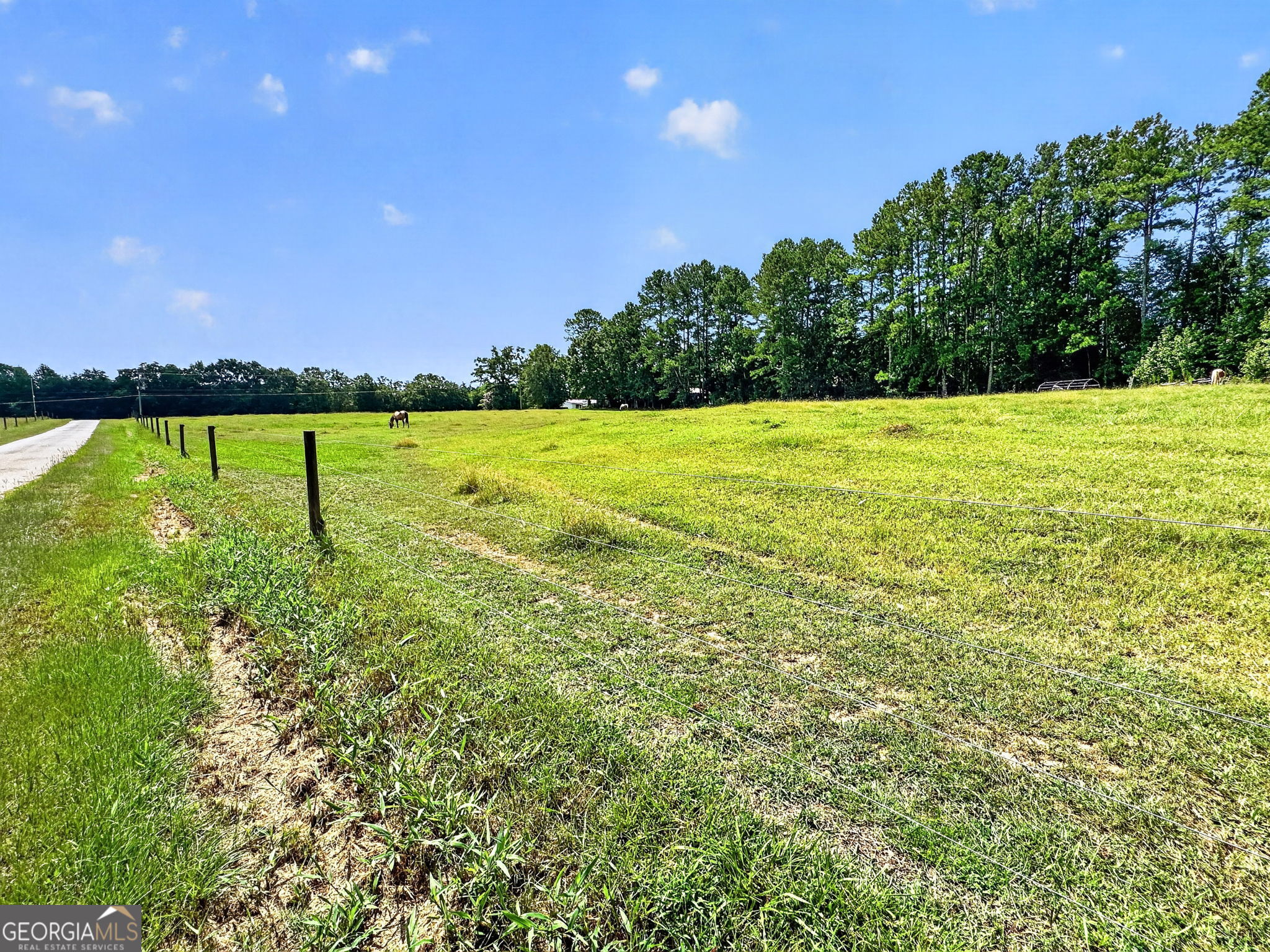 2614 Locust Grove Road Property Photo 8