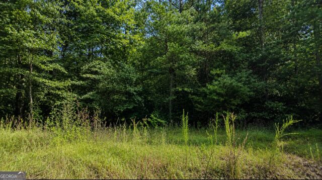 0 Roaring Forks Lane Property Photo 4