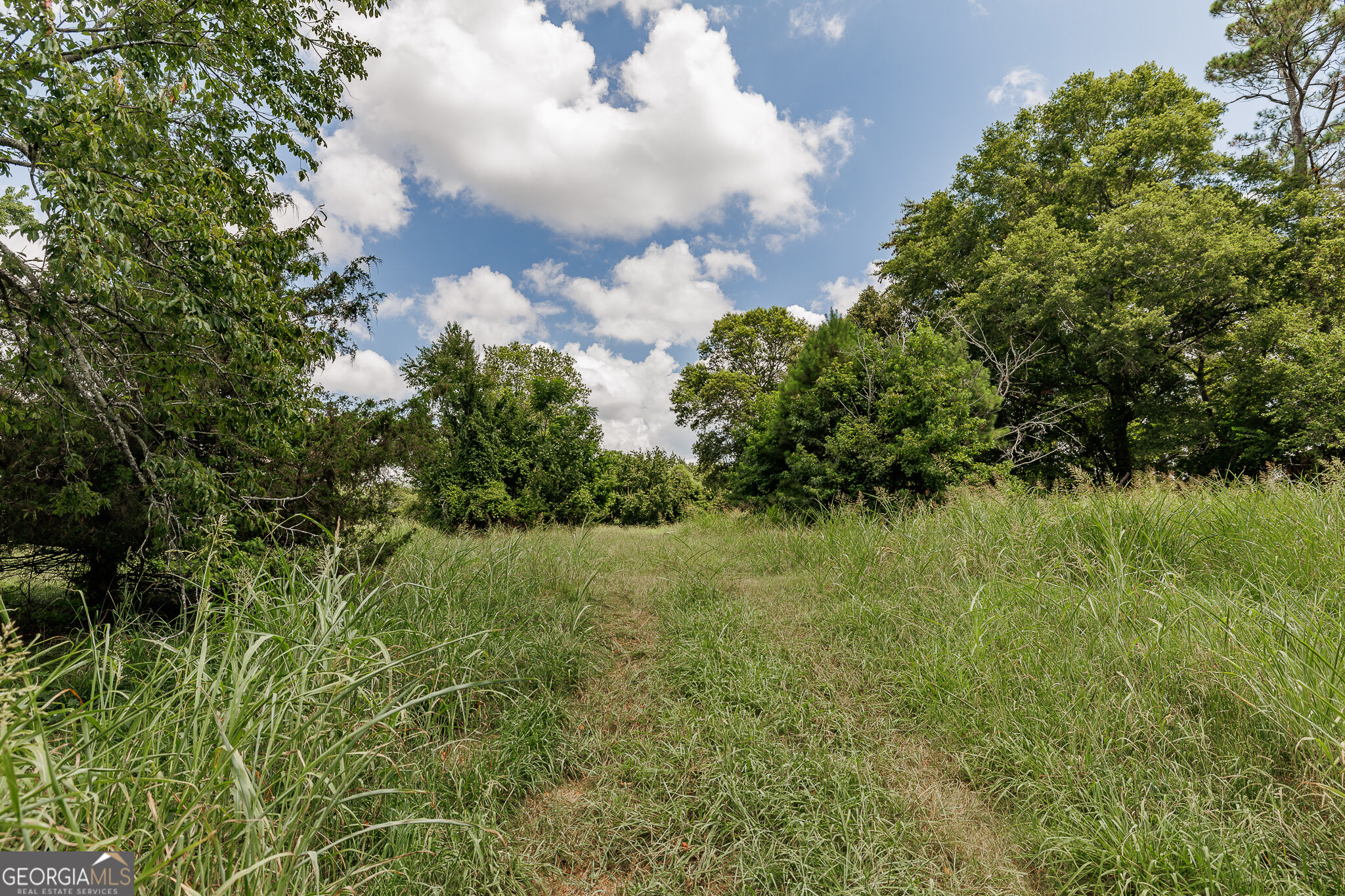 6070 Old Jefferson Road Property Photo 14