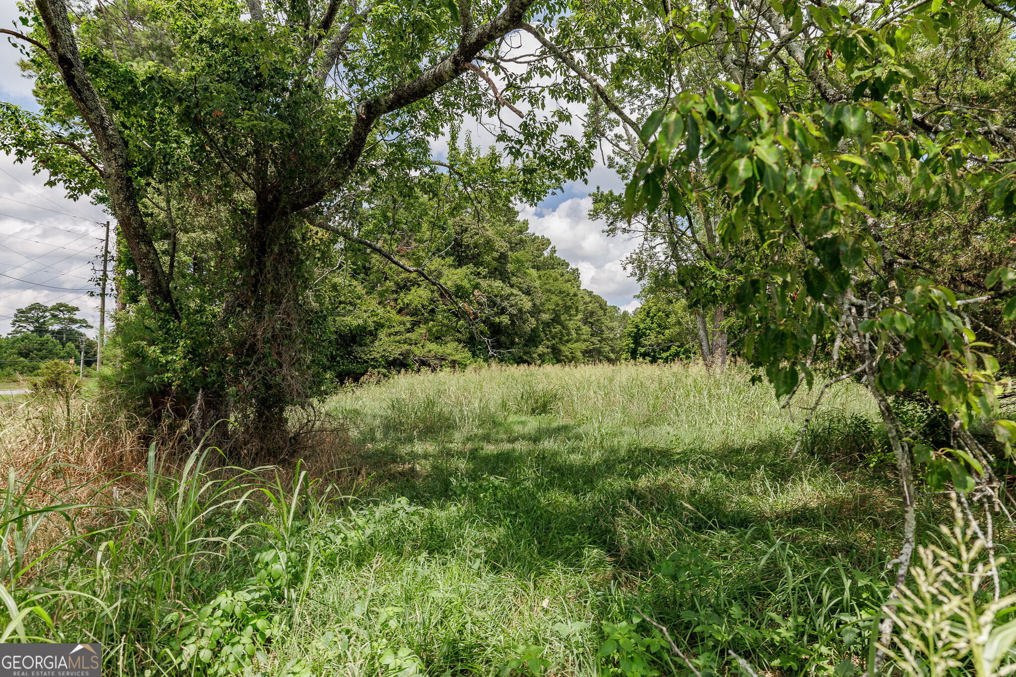 6070 Old Jefferson Road Property Photo 15