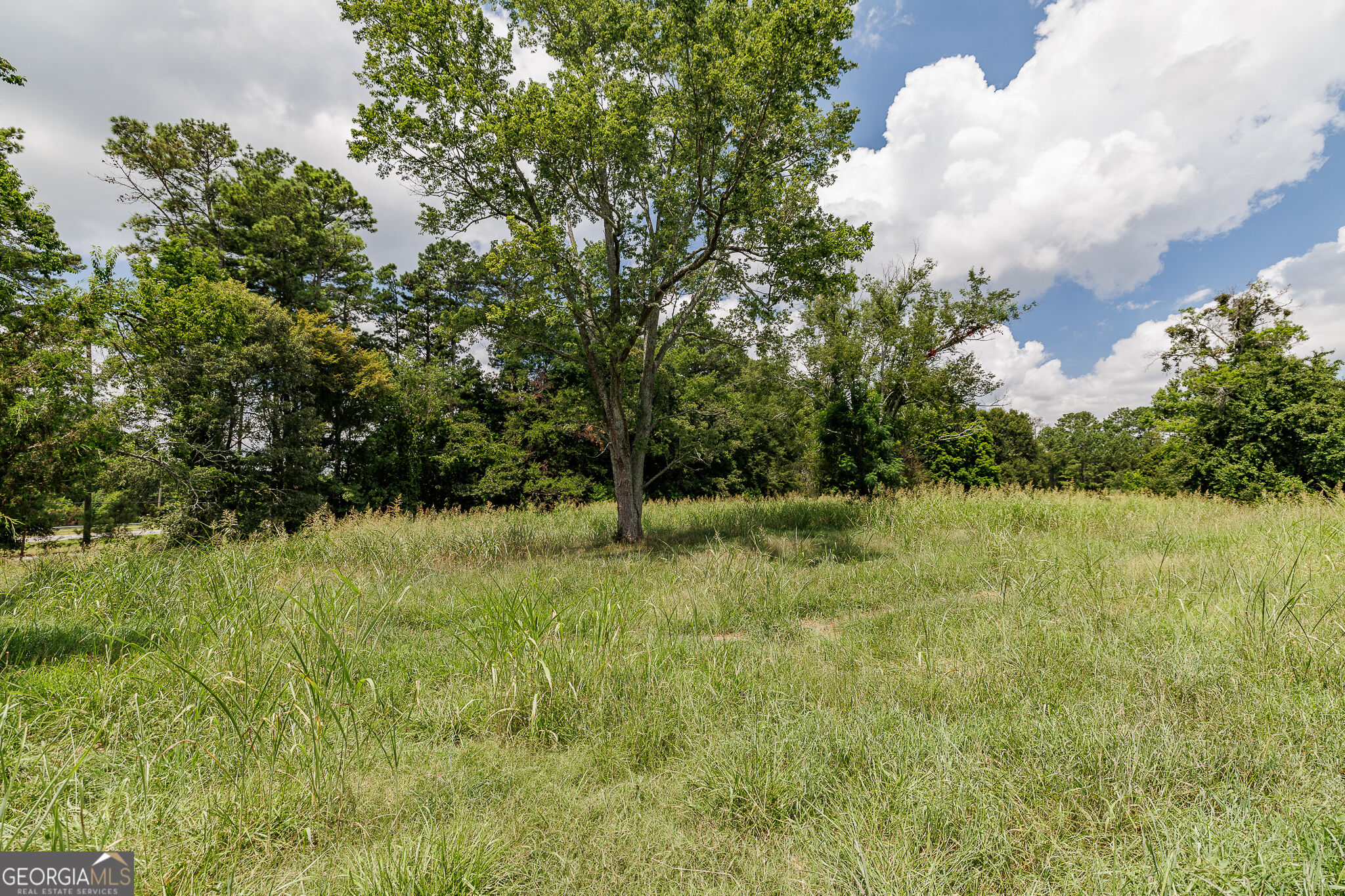 6070 Old Jefferson Road Property Photo 16