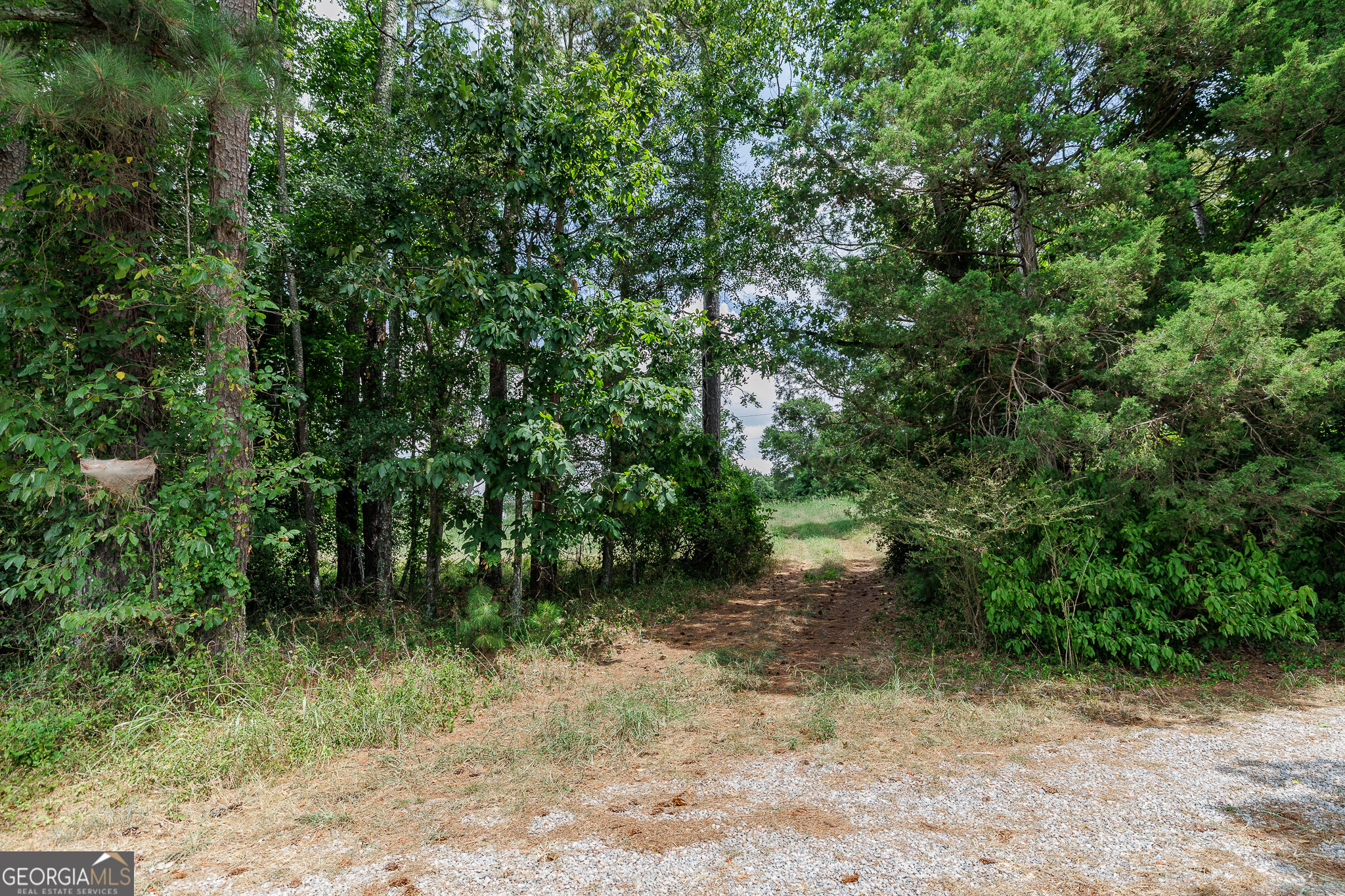 6070 Old Jefferson Road Property Photo 17
