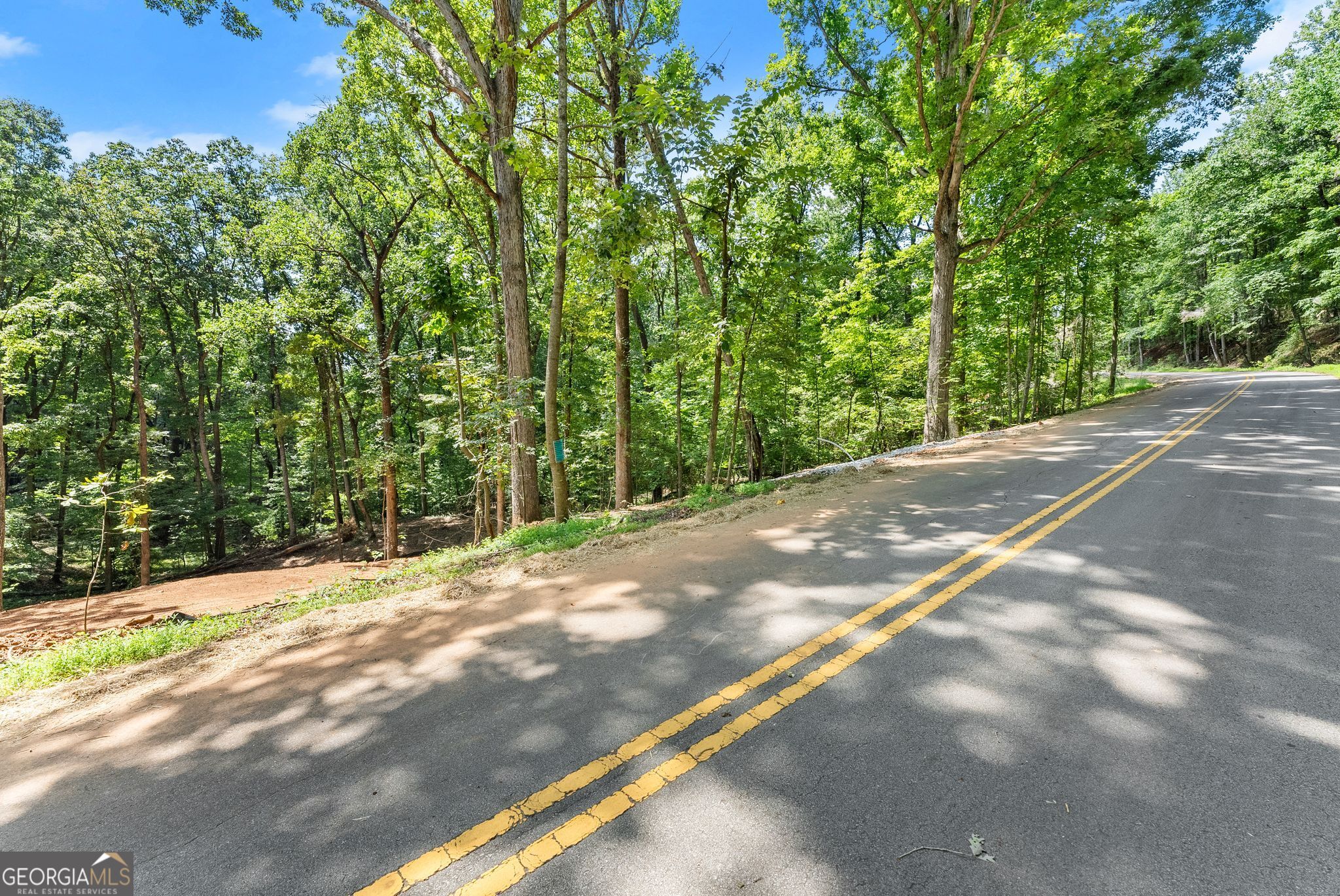 3328 Cooper Bridge Road Property Photo 13