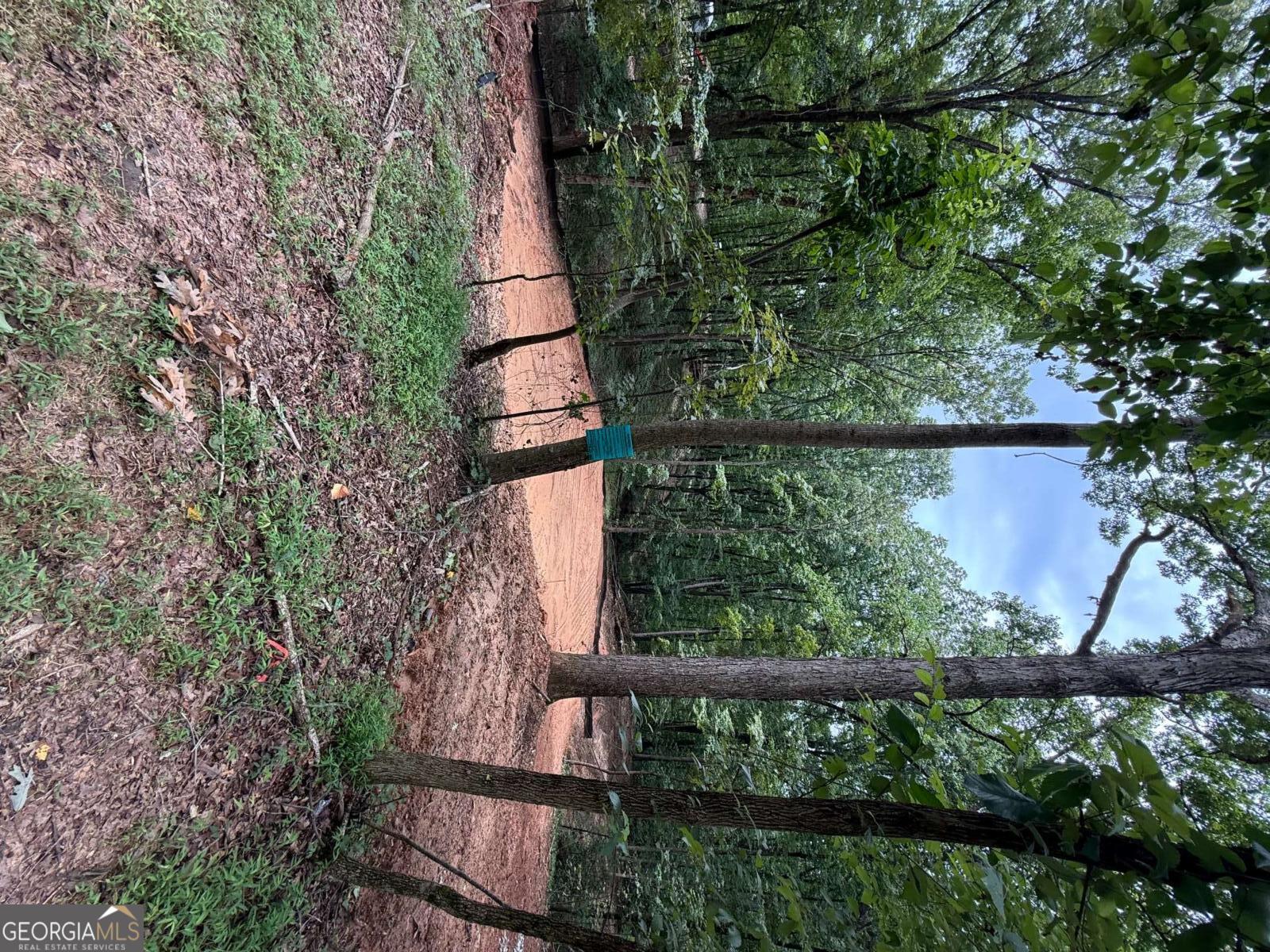 3328 Cooper Bridge Road Property Photo 31