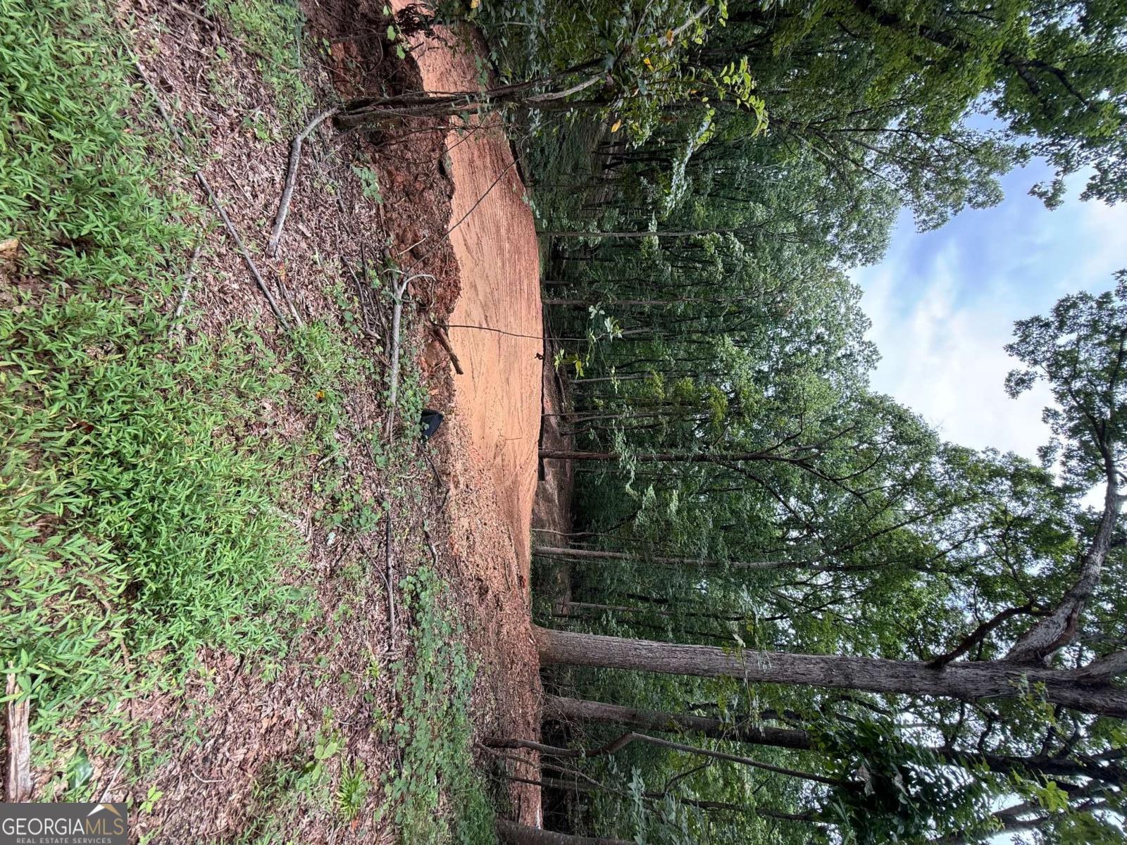 3328 Cooper Bridge Road Property Photo 32
