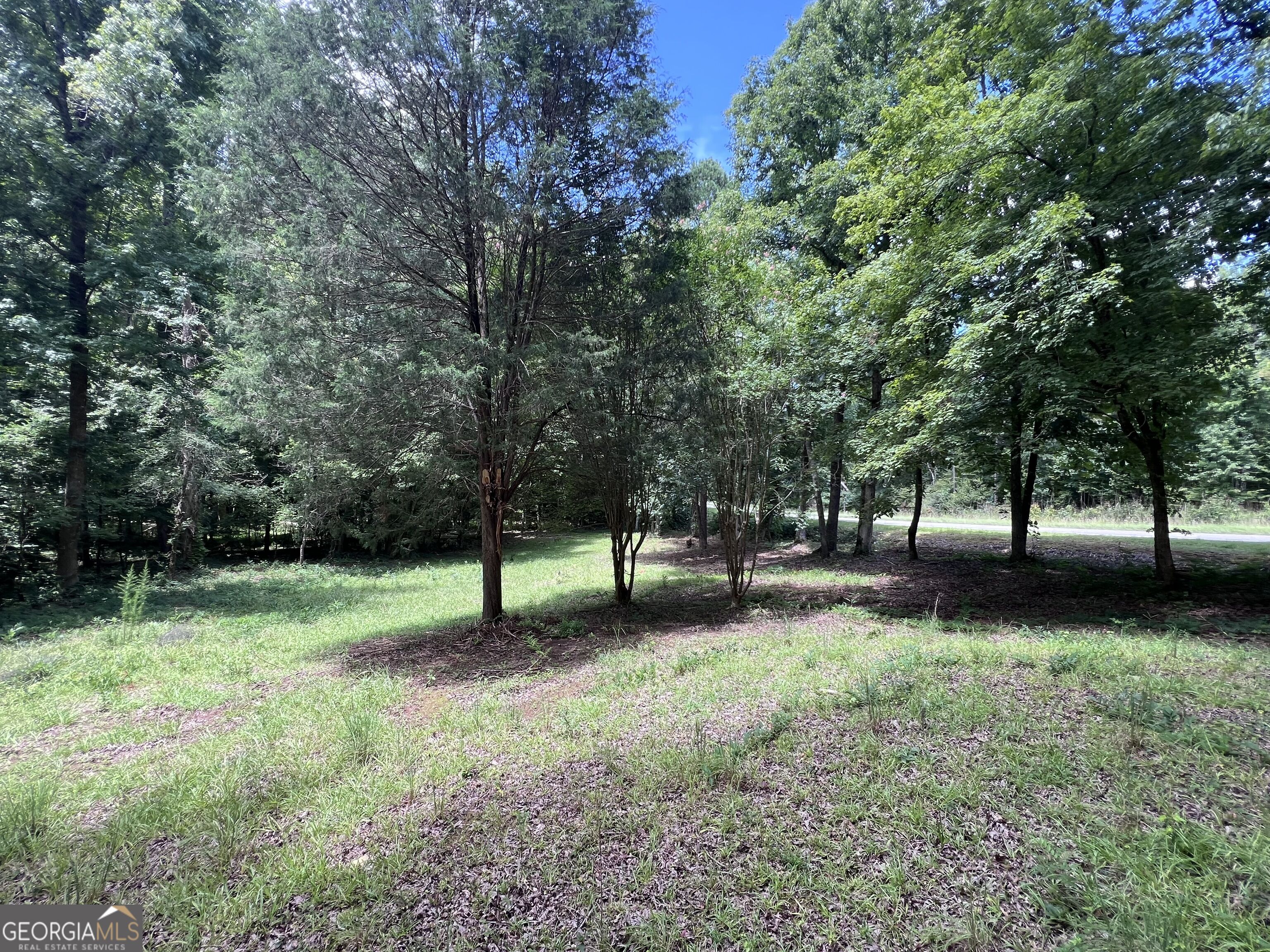 160 Gumm Cemetary Road Property Photo 16