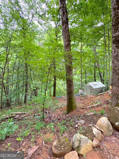 655 Mount Sequoyah Road Property Photo 11