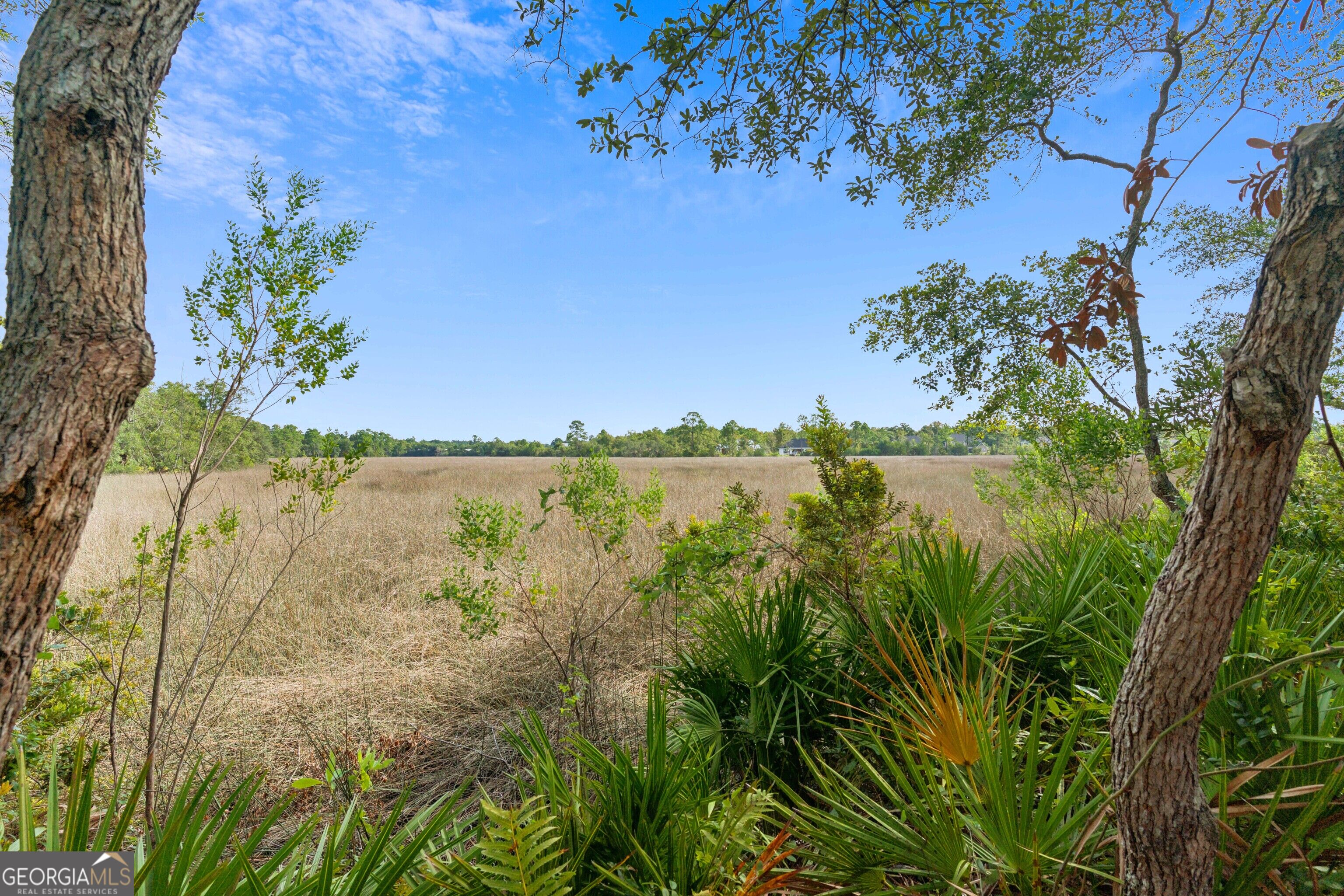 167 Bluebill Trail Property Photo 32