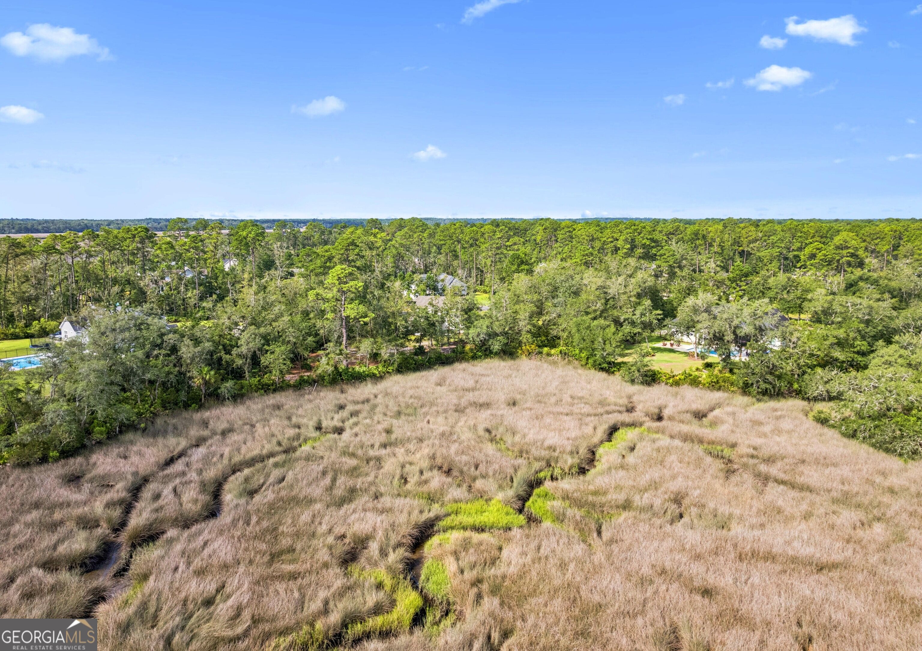 167 Bluebill Trail Property Photo 39