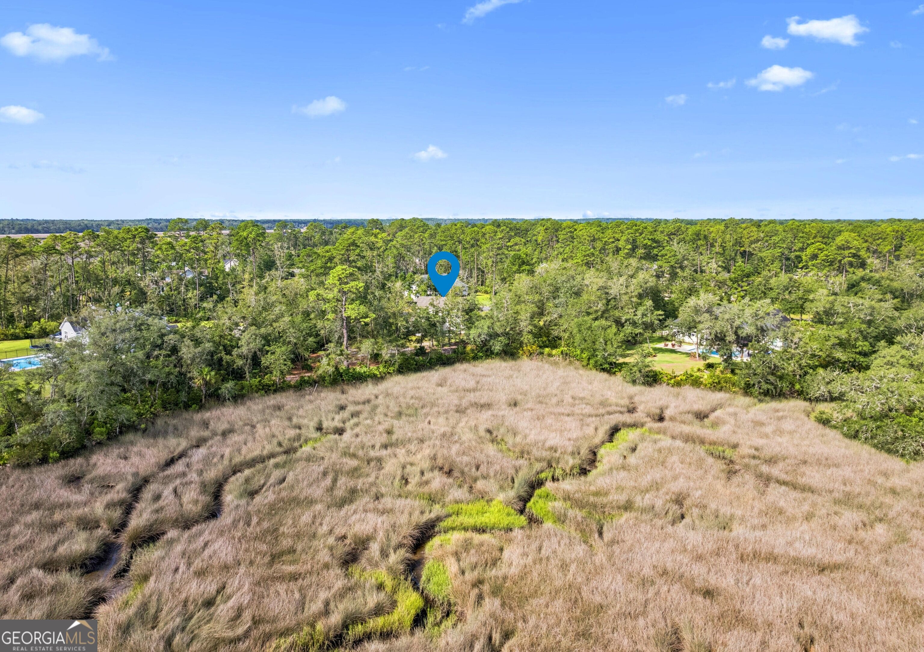 167 Bluebill Trail Property Photo 40