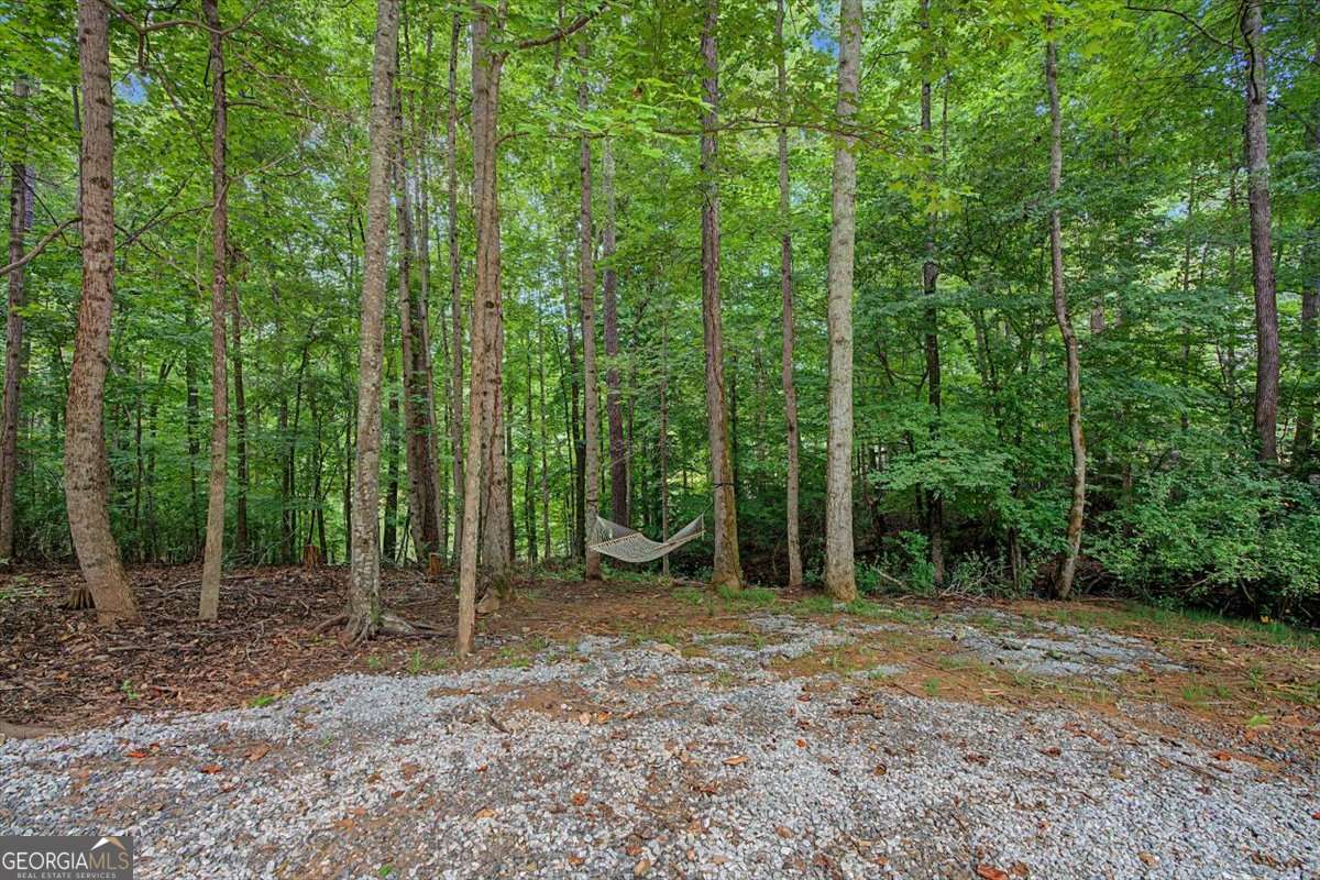 590 S Alexander Creek Road Property Photo 45