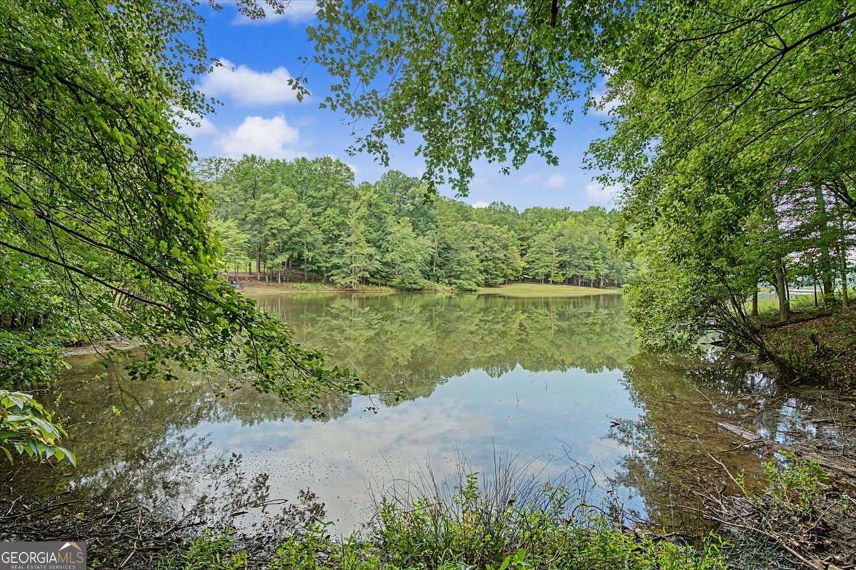 590 S Alexander Creek Road Property Photo 48