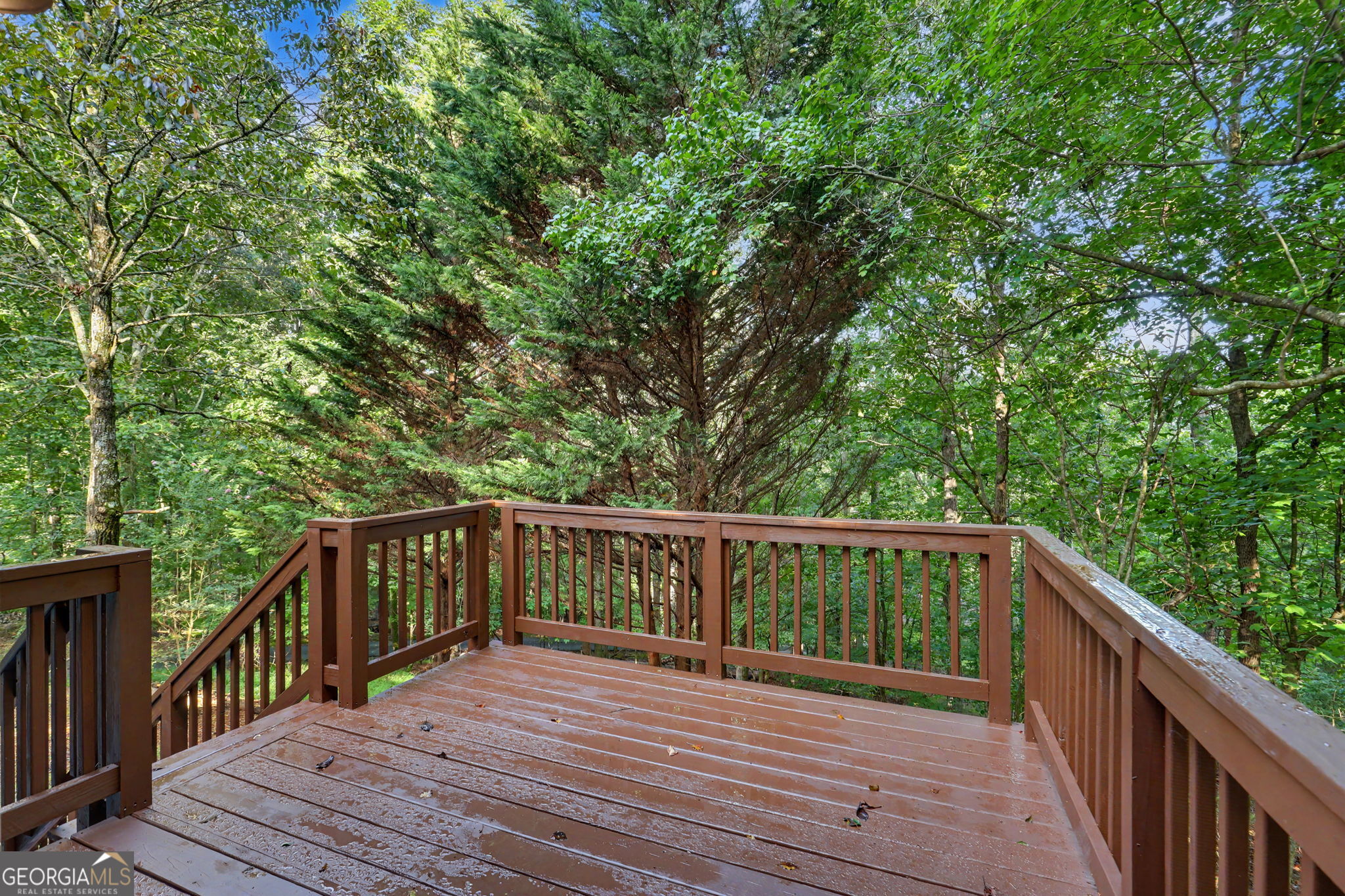 205 Spring Branch Road Property Photo 33