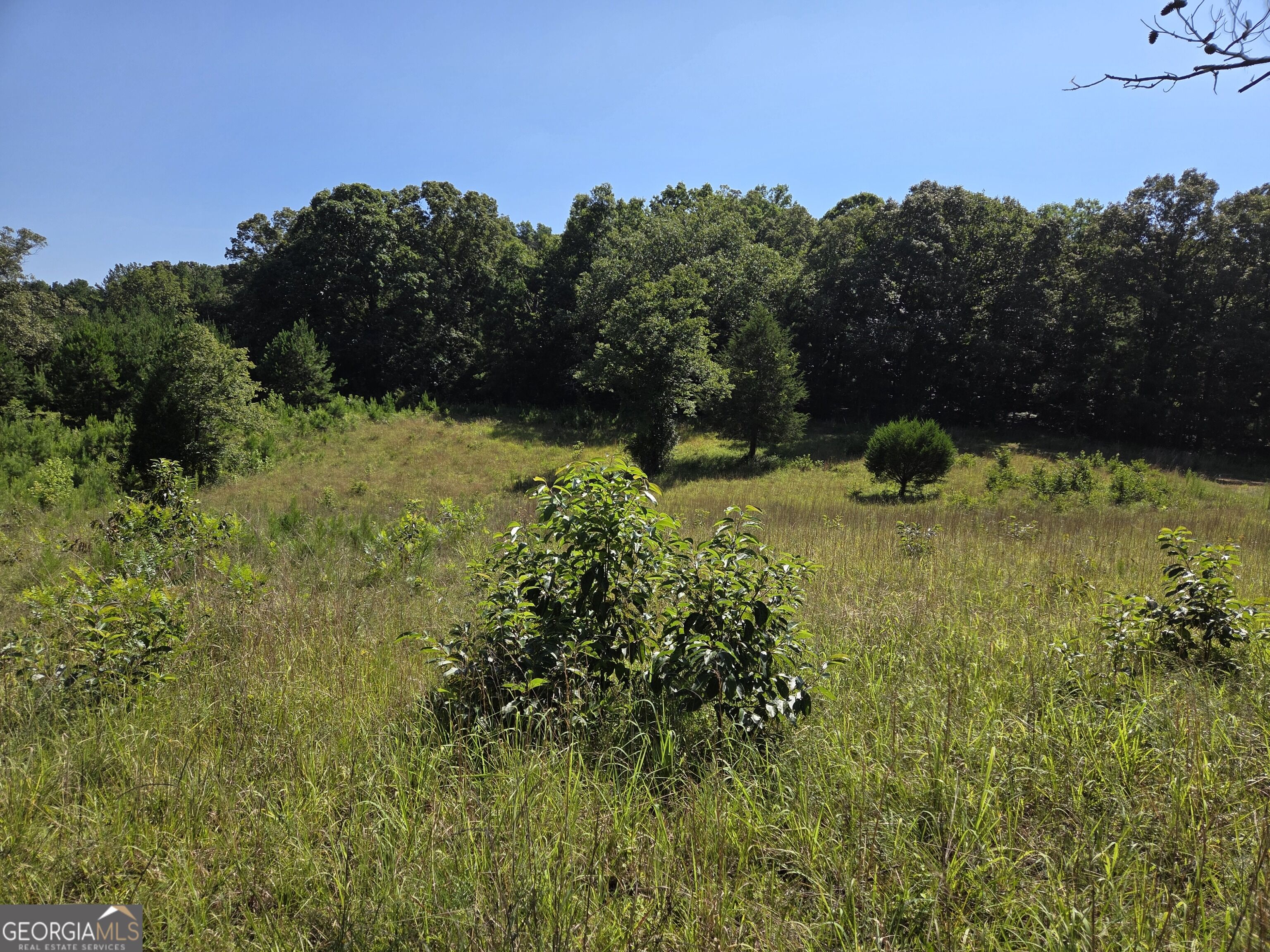0 Millen Road Property Photo 11