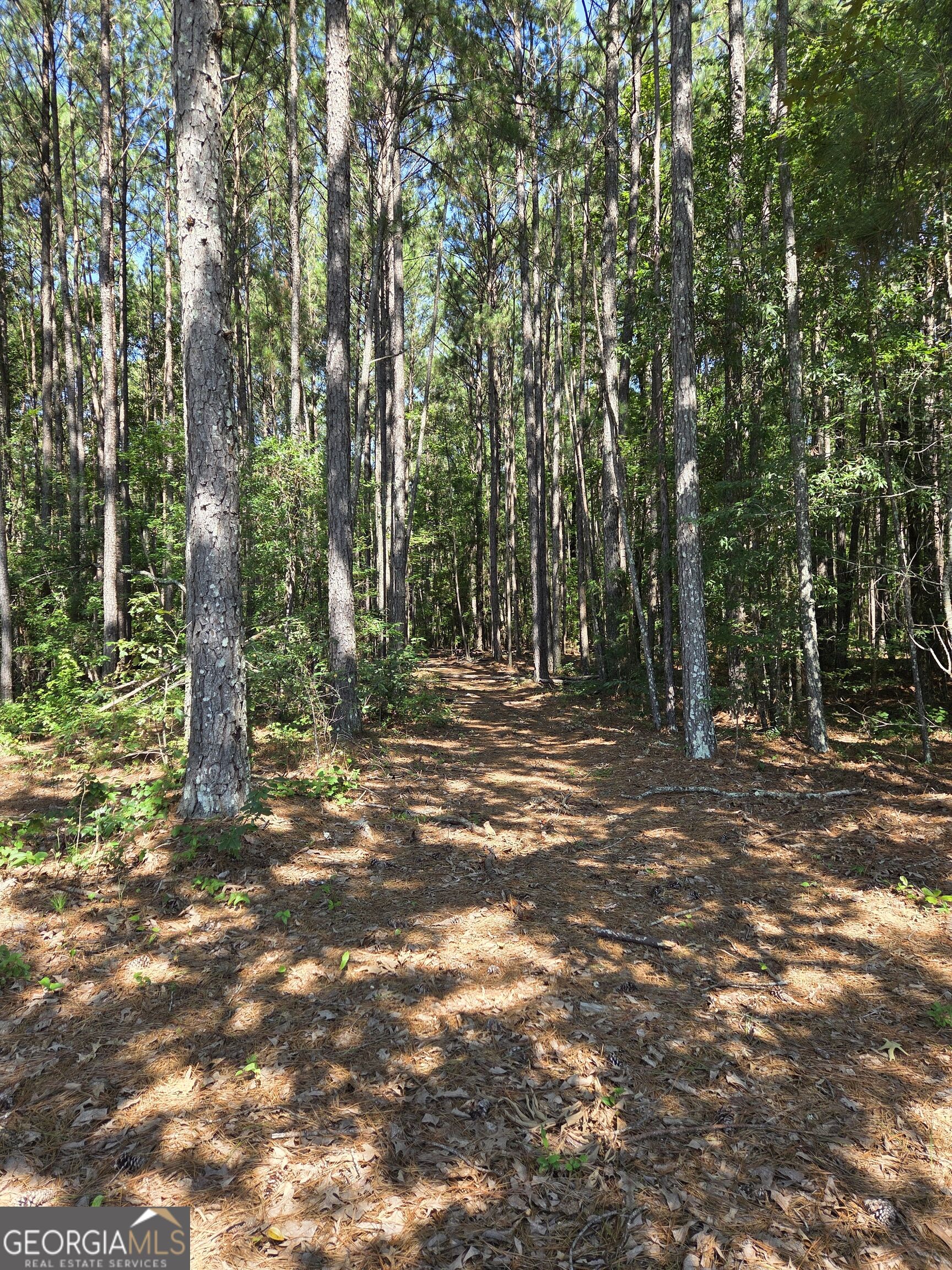 0 Millen Road Property Photo 14