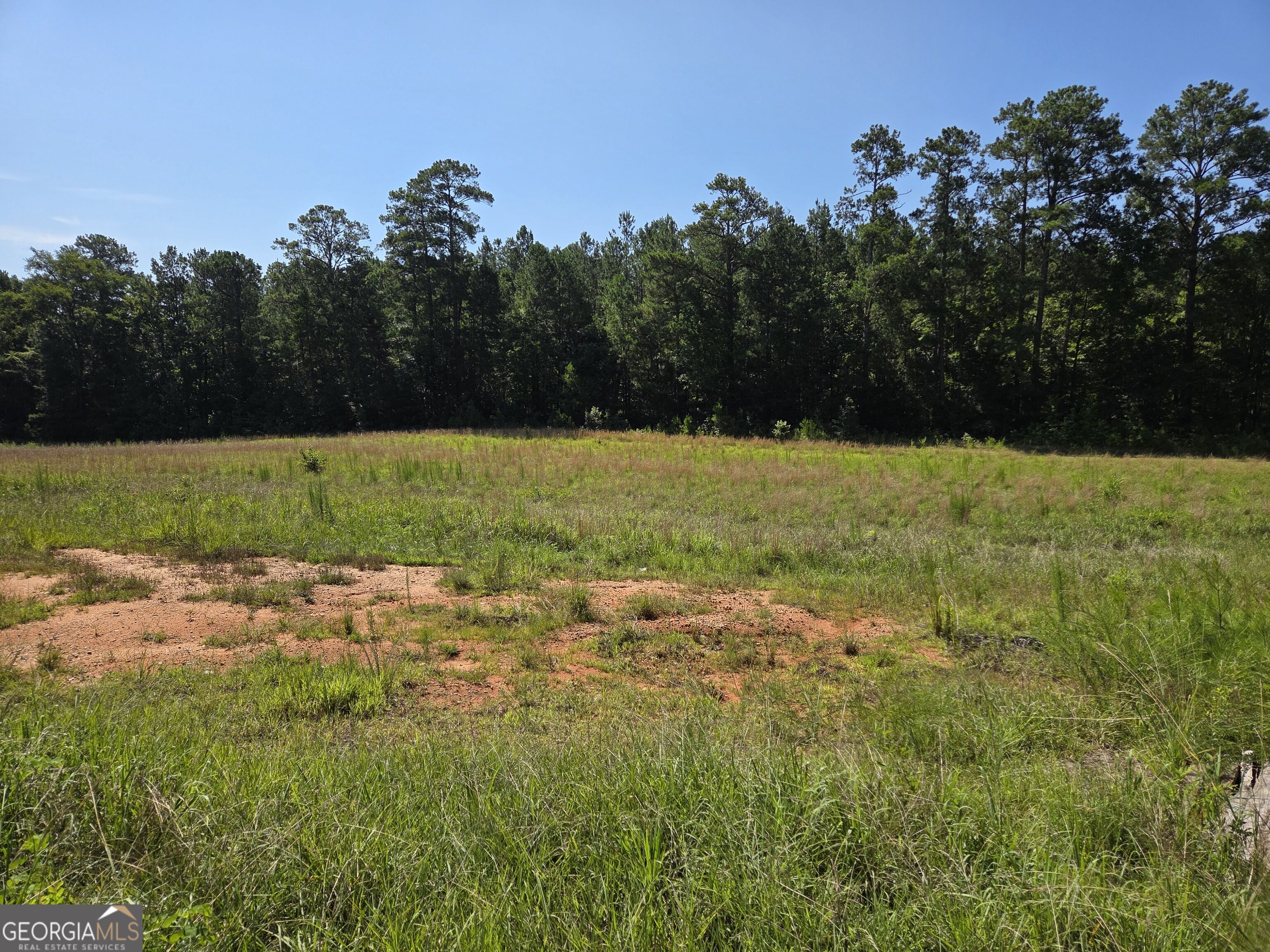0 Millen Road Property Photo 16