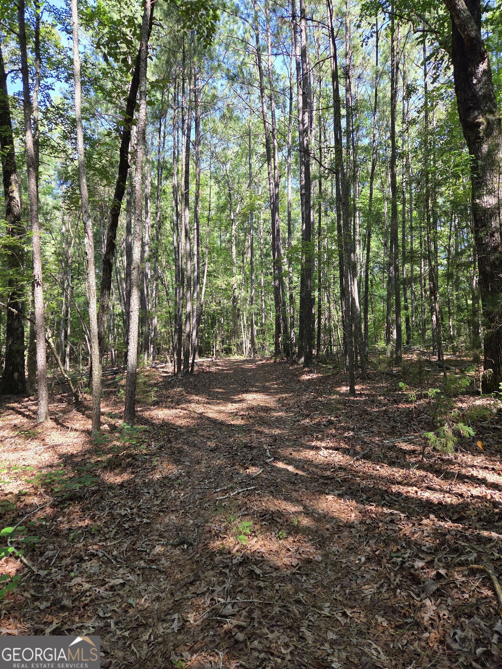 0 Millen Road Property Photo 18