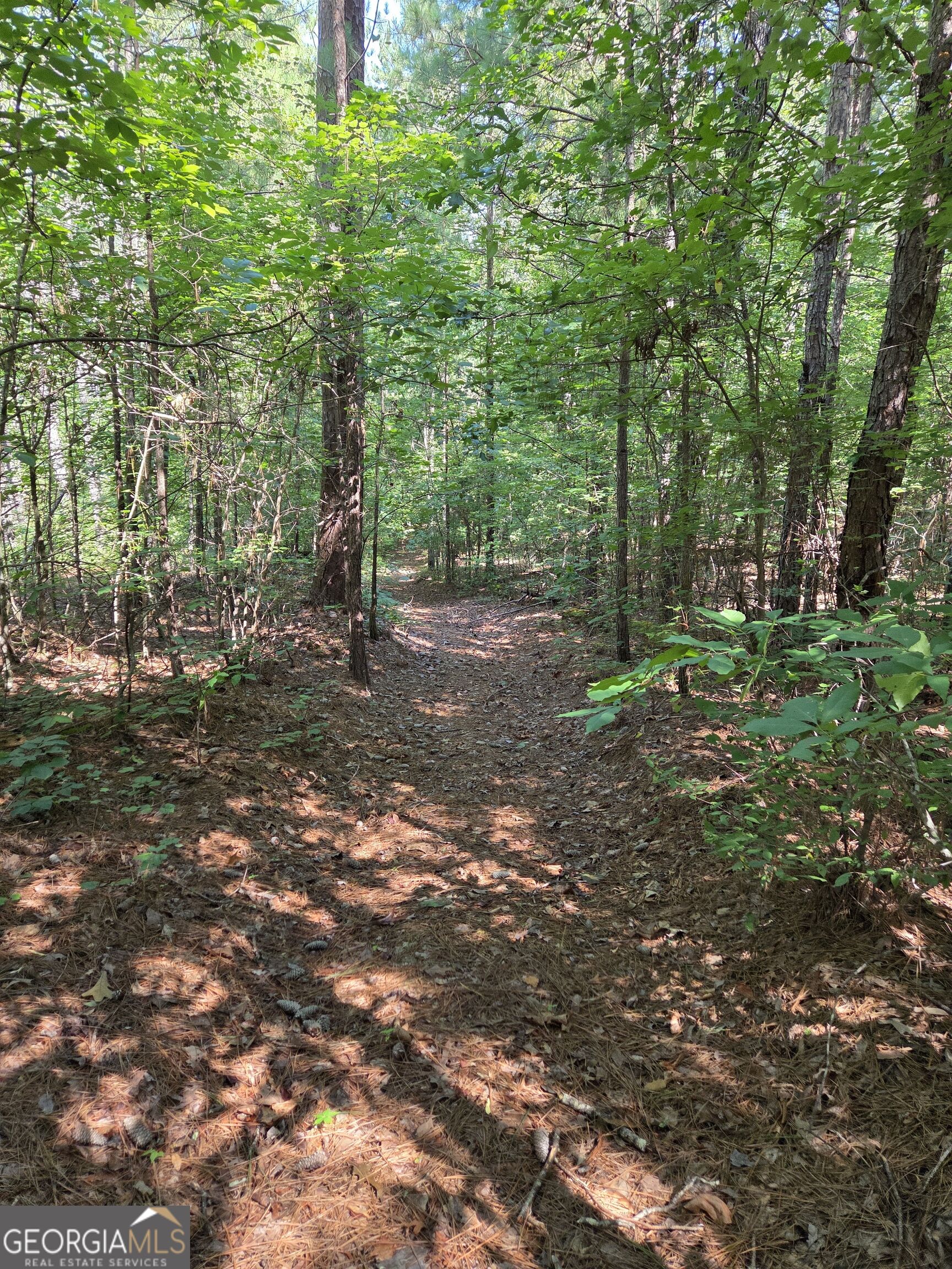 0 Millen Road Property Photo 19