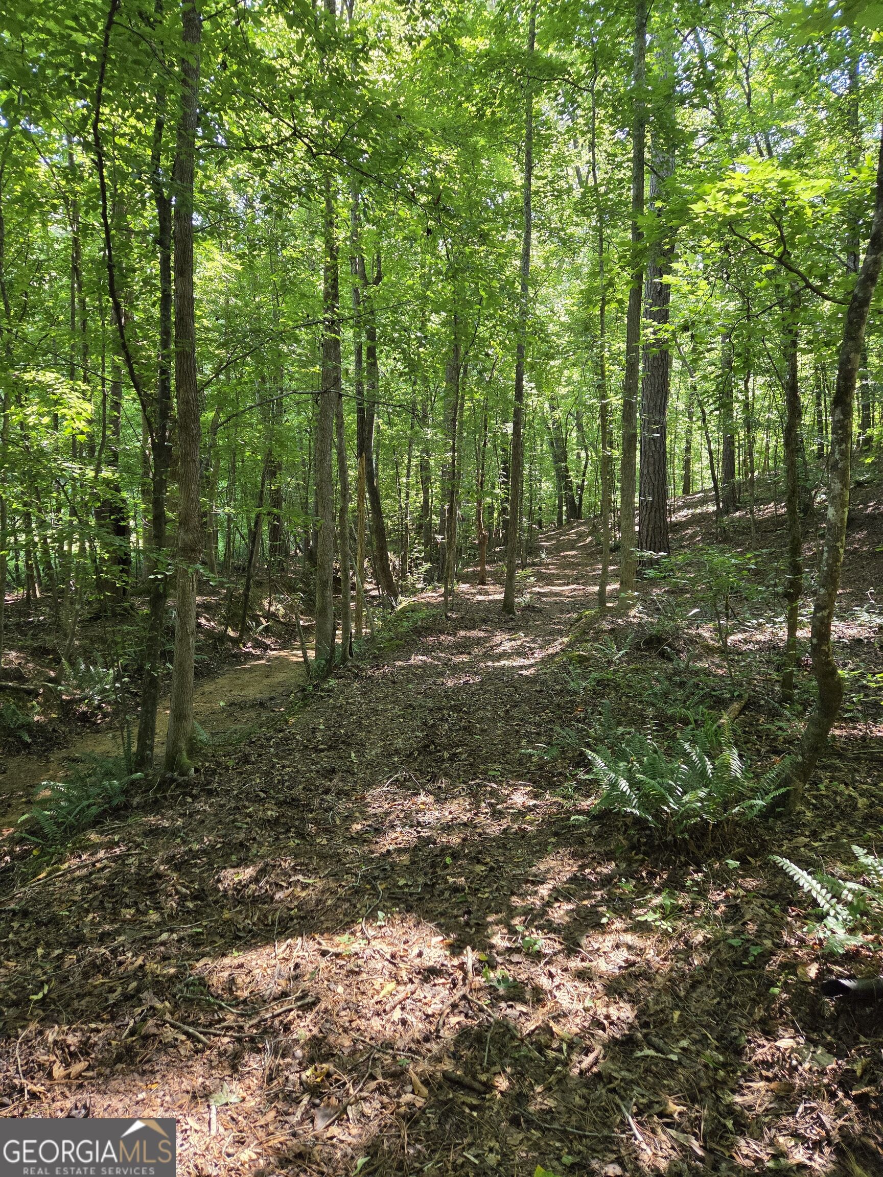 0 Millen Road Property Photo 20