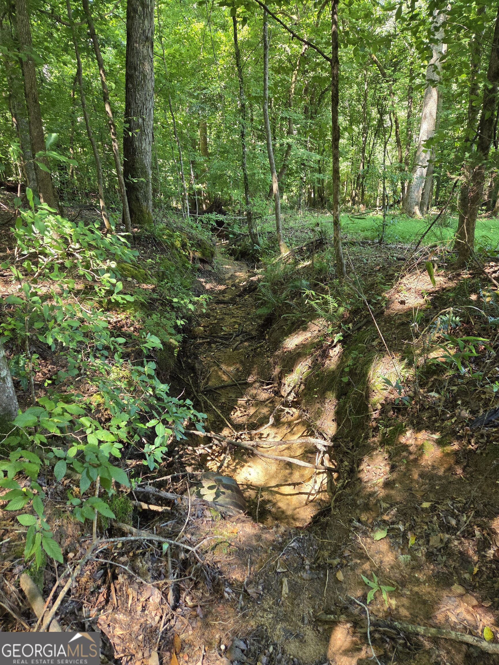 0 Millen Road Property Photo 21