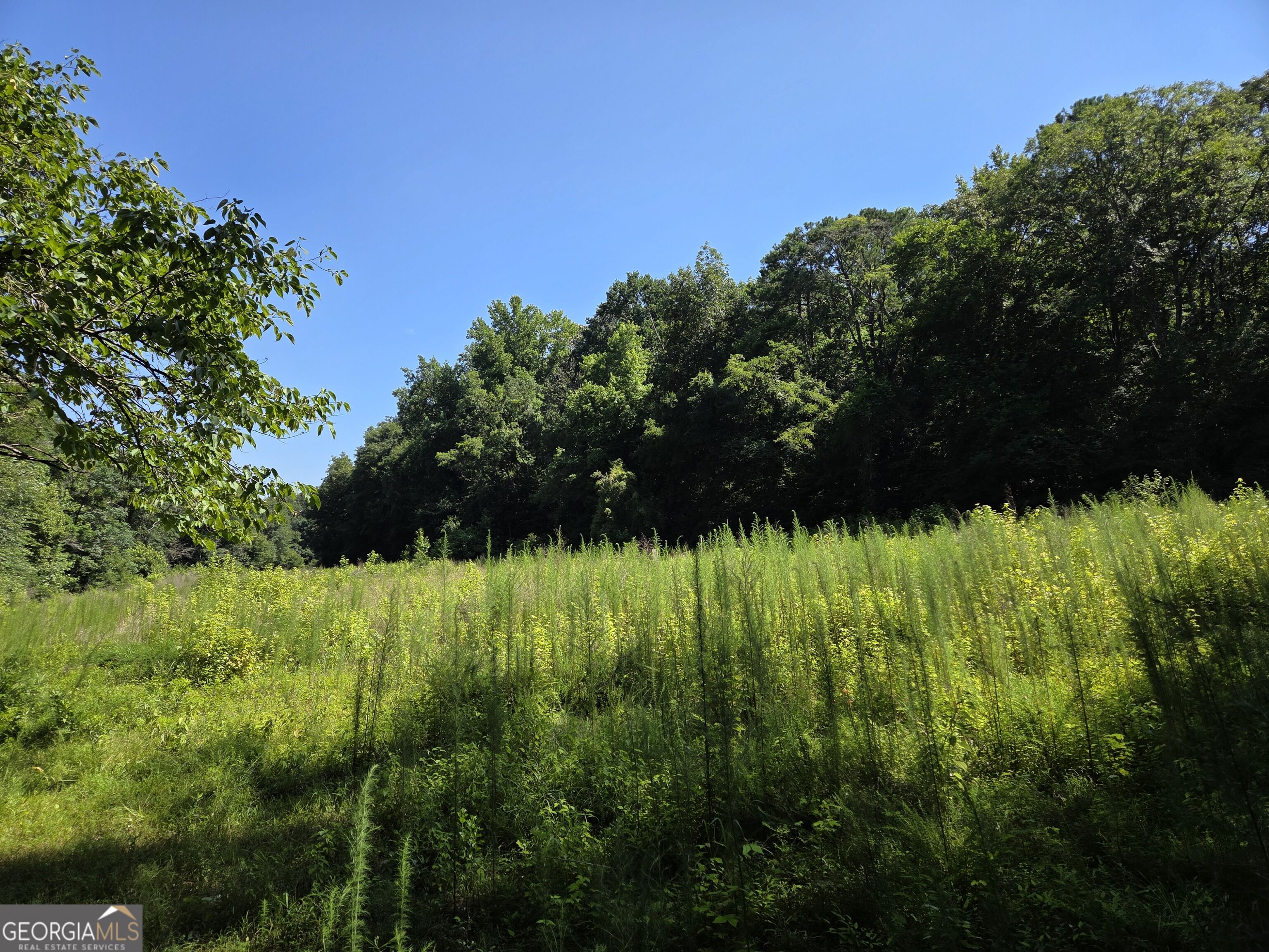 0 Millen Road Property Photo 23