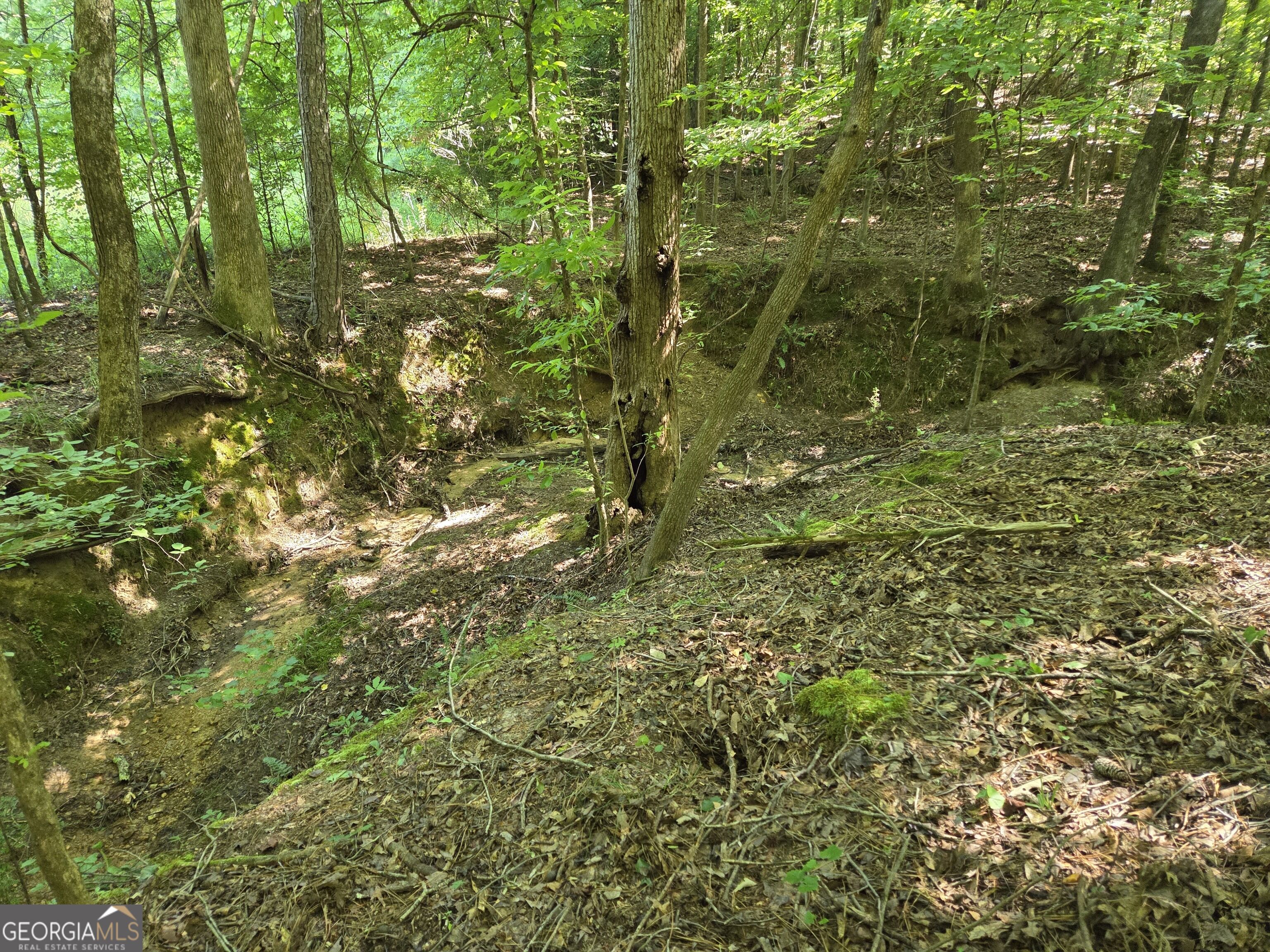 0 Millen Road Property Photo 25