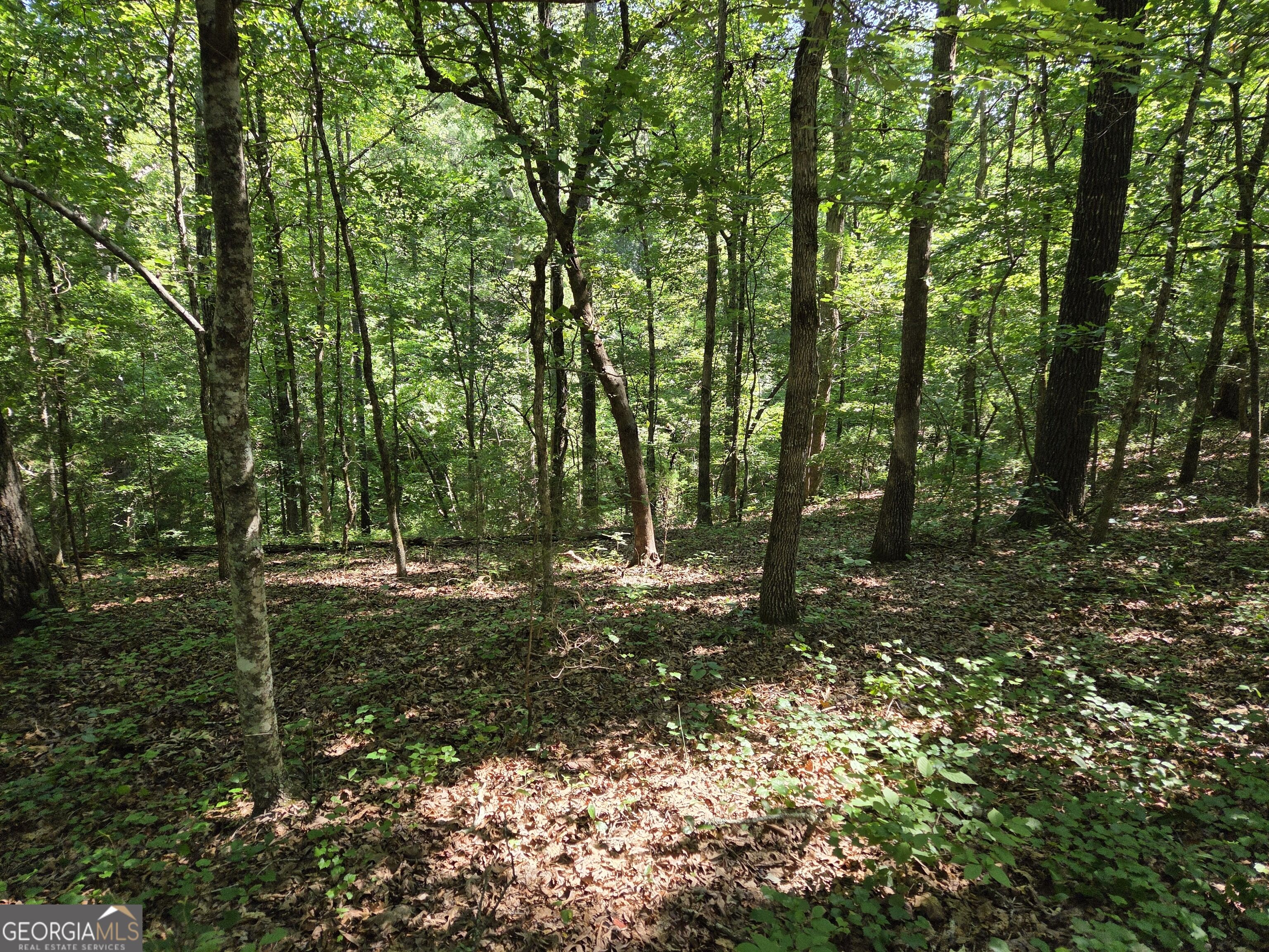 0 Millen Road Property Photo 27