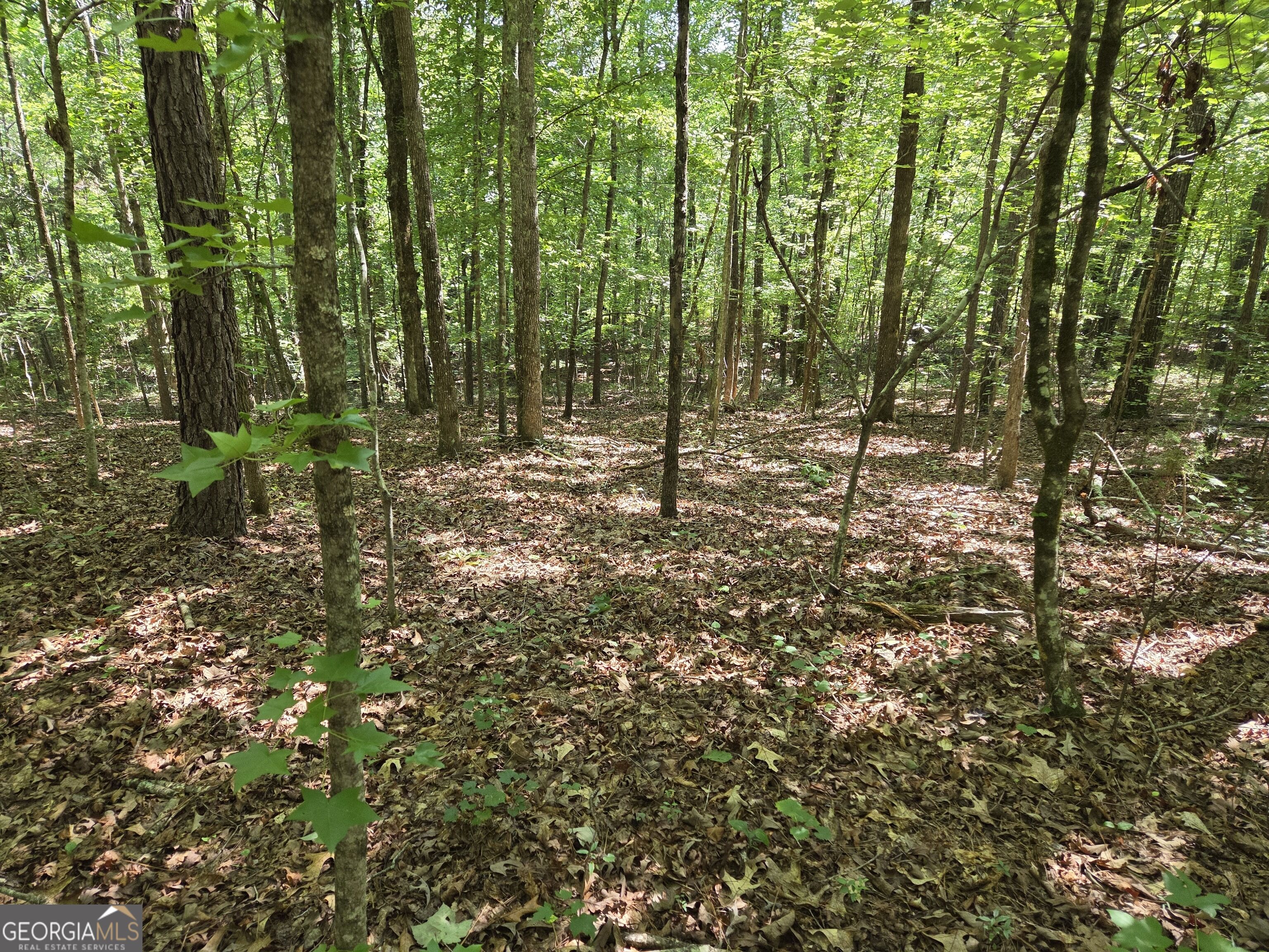 0 Millen Road Property Photo 28