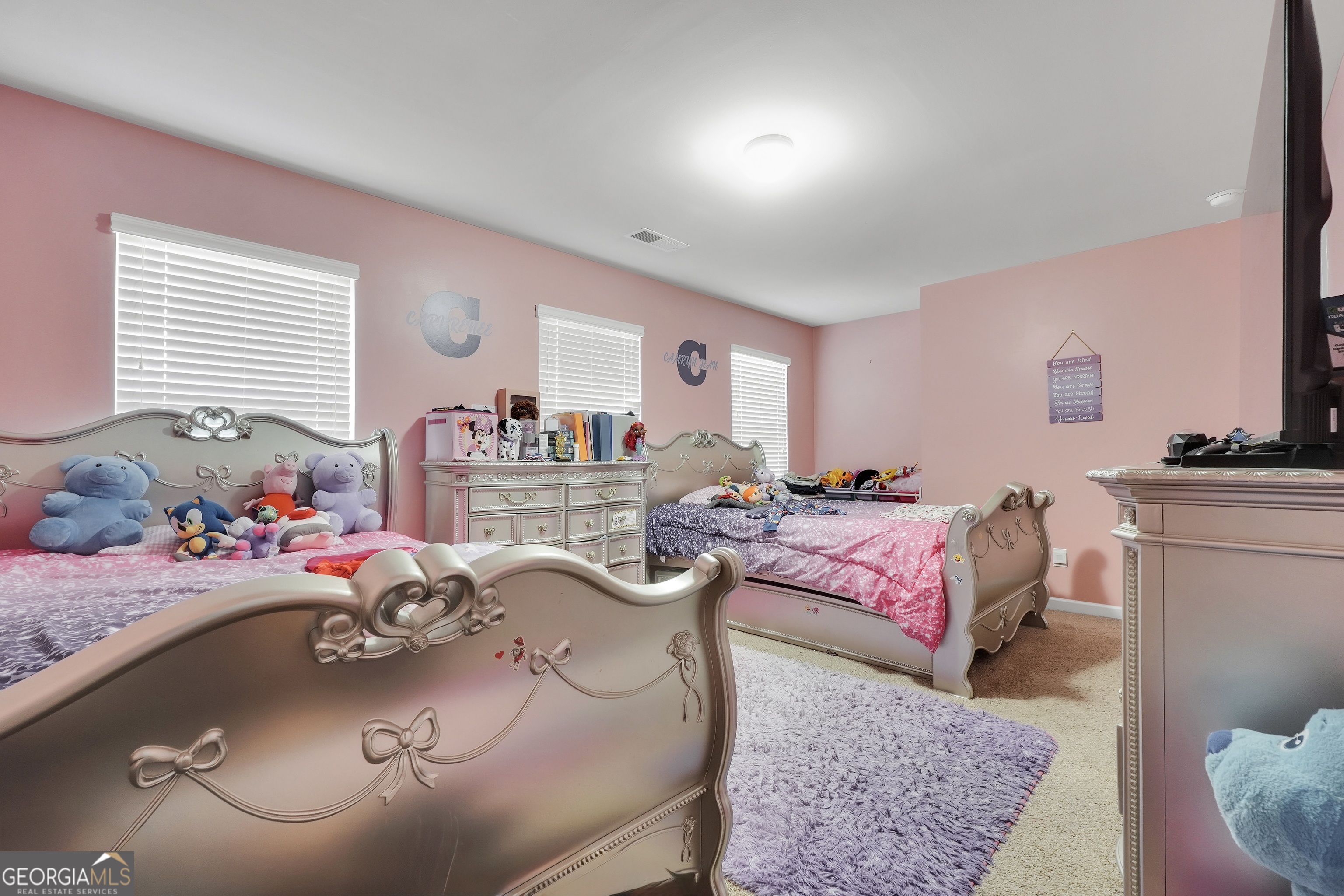 767 Galveston Way Property Photo 22