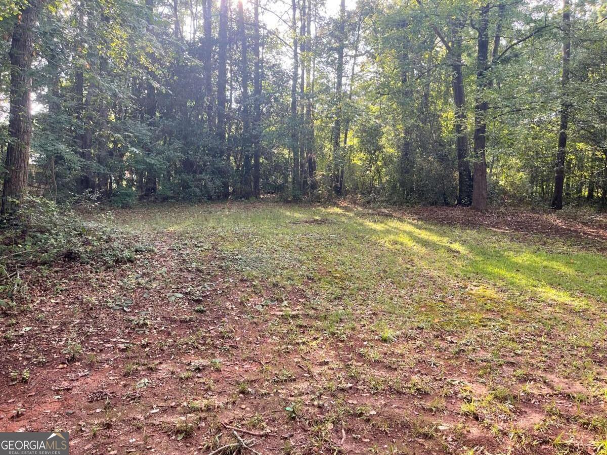 120 Altar Stone Drive Property Photo 21
