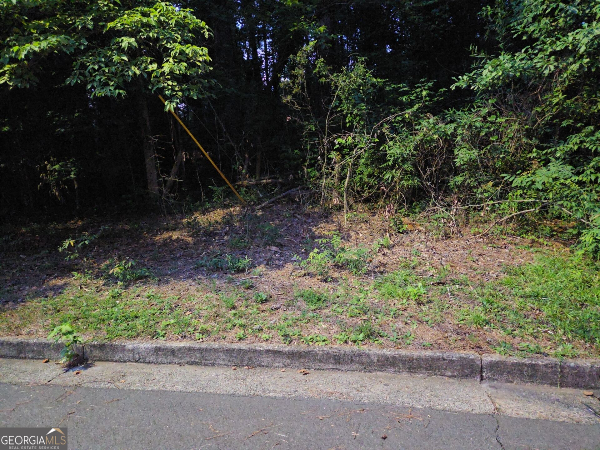 0 Lake Esther Drive Property Photo 1