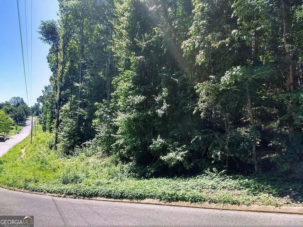 225 Hickory Ridge Trail Property Photo 1