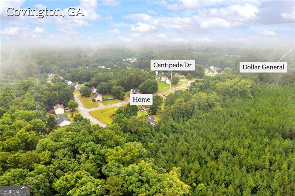 145 Clover Valley Drive Property Photo 81