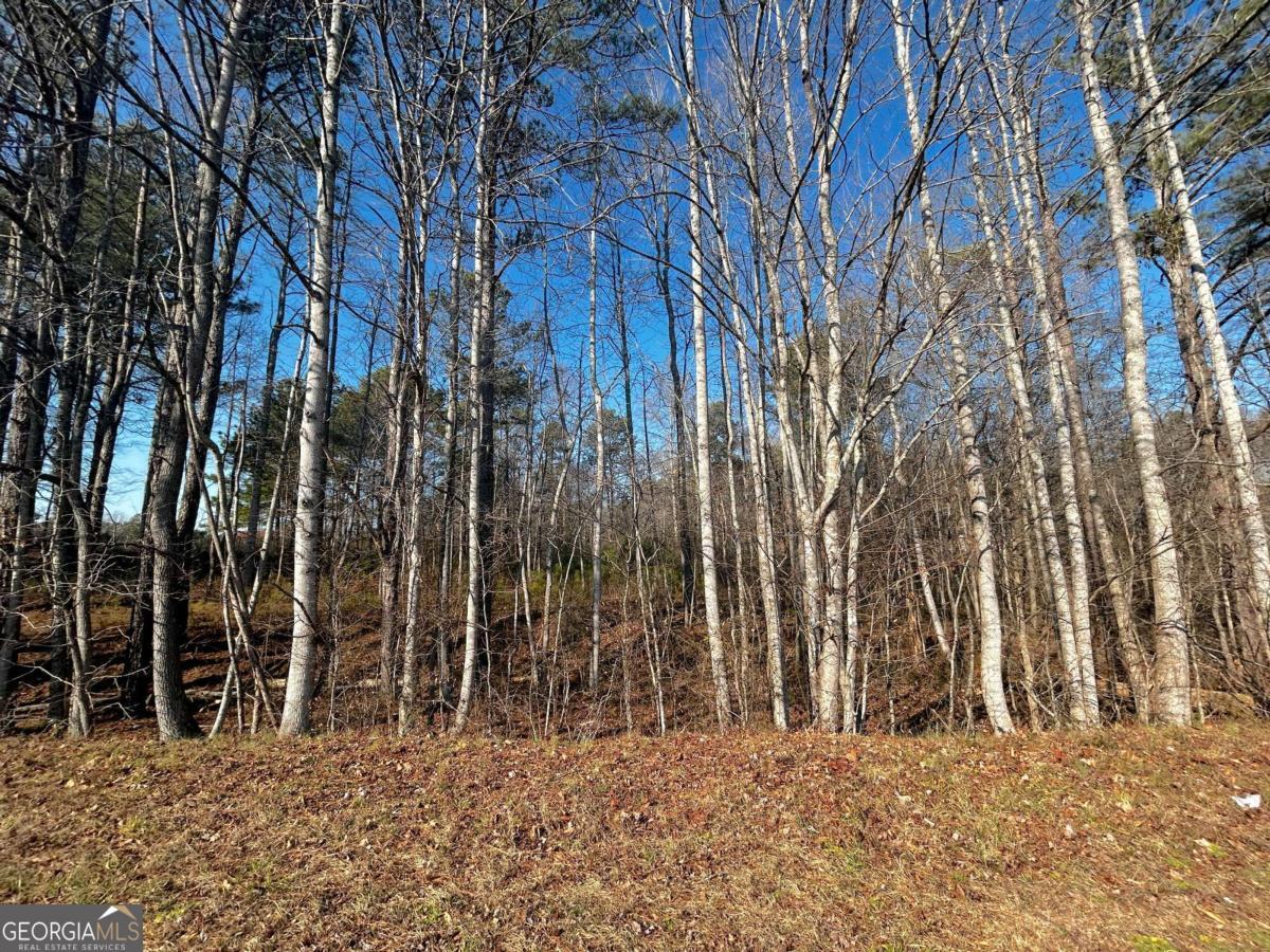 2013 Lake Paradise Road Property Photo 1